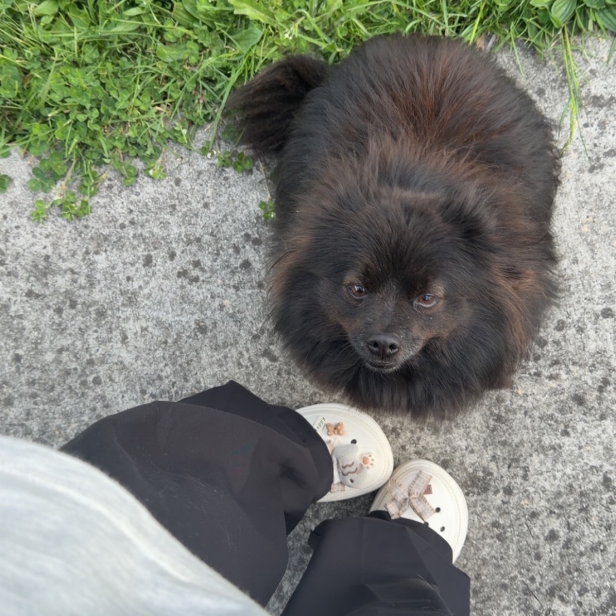 Guigui 