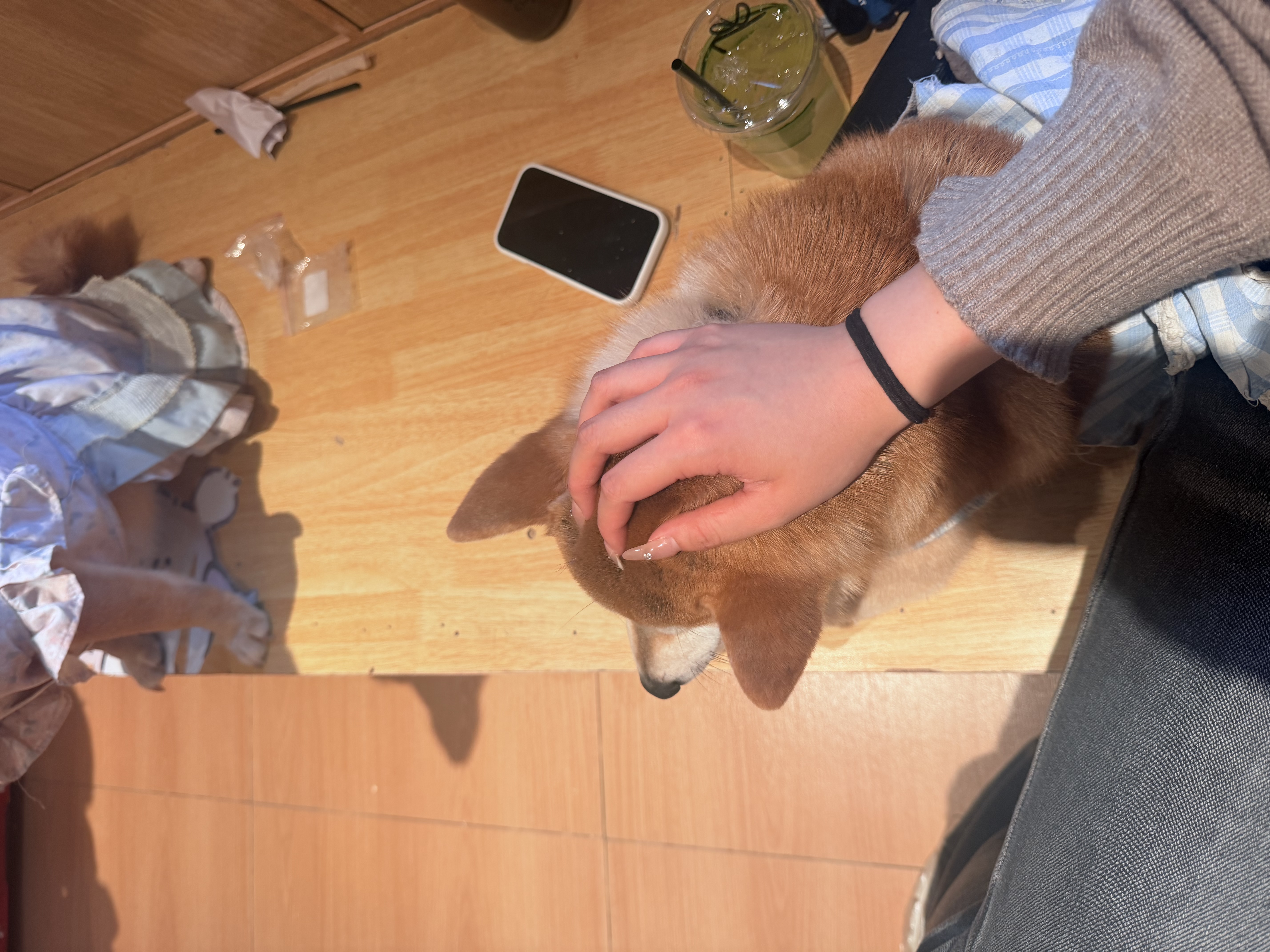 image-2