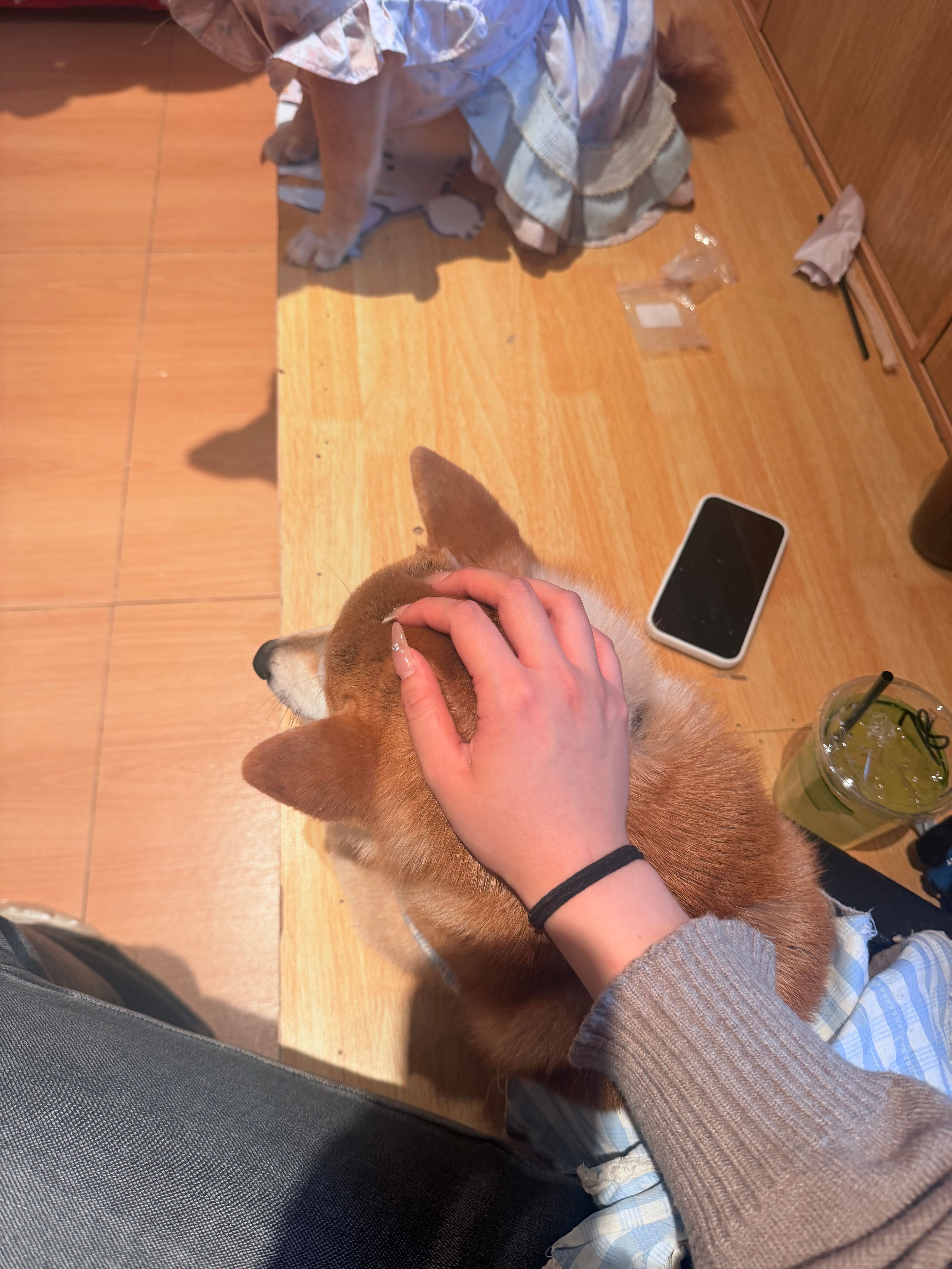 image-2