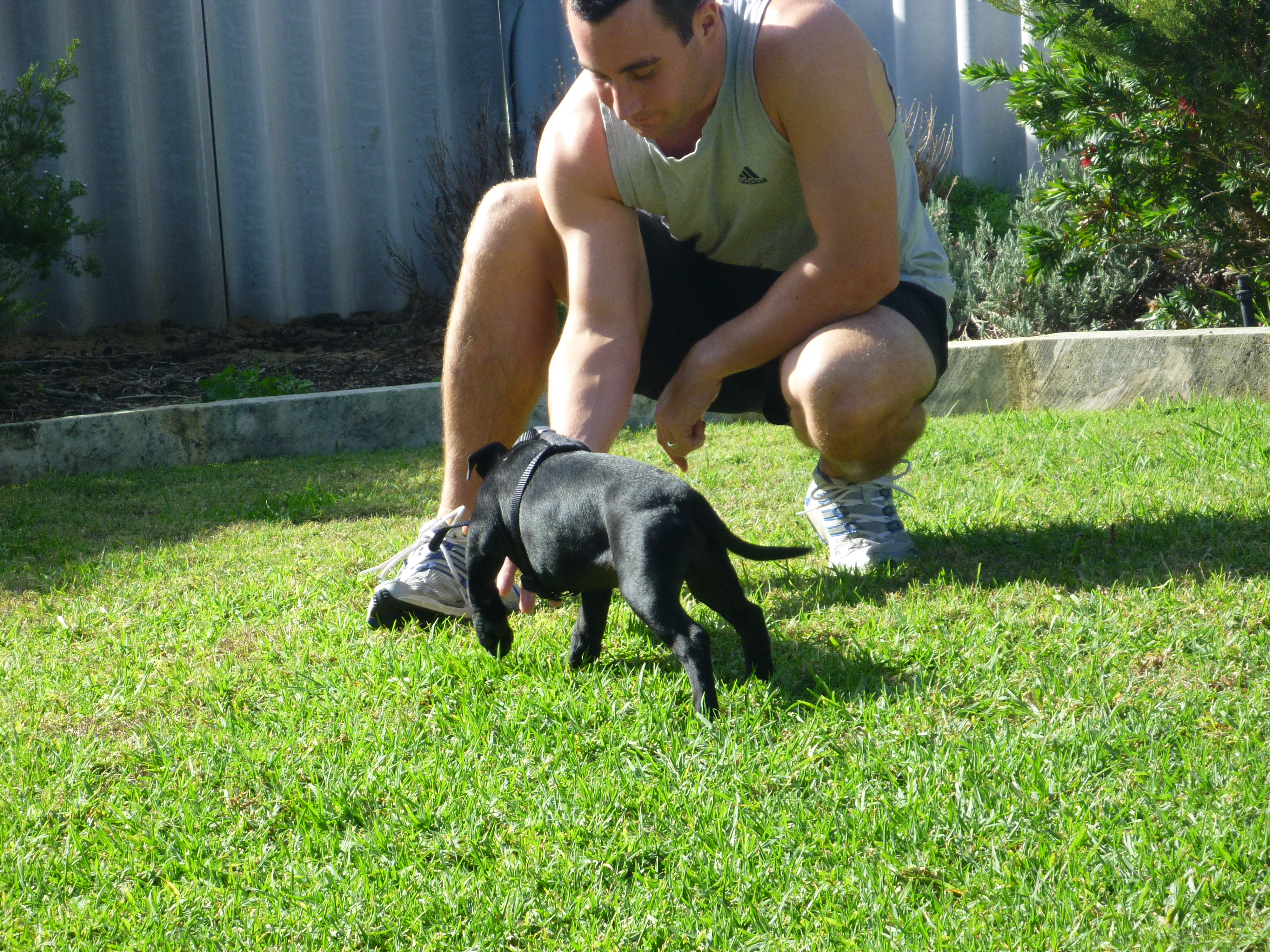 image-23