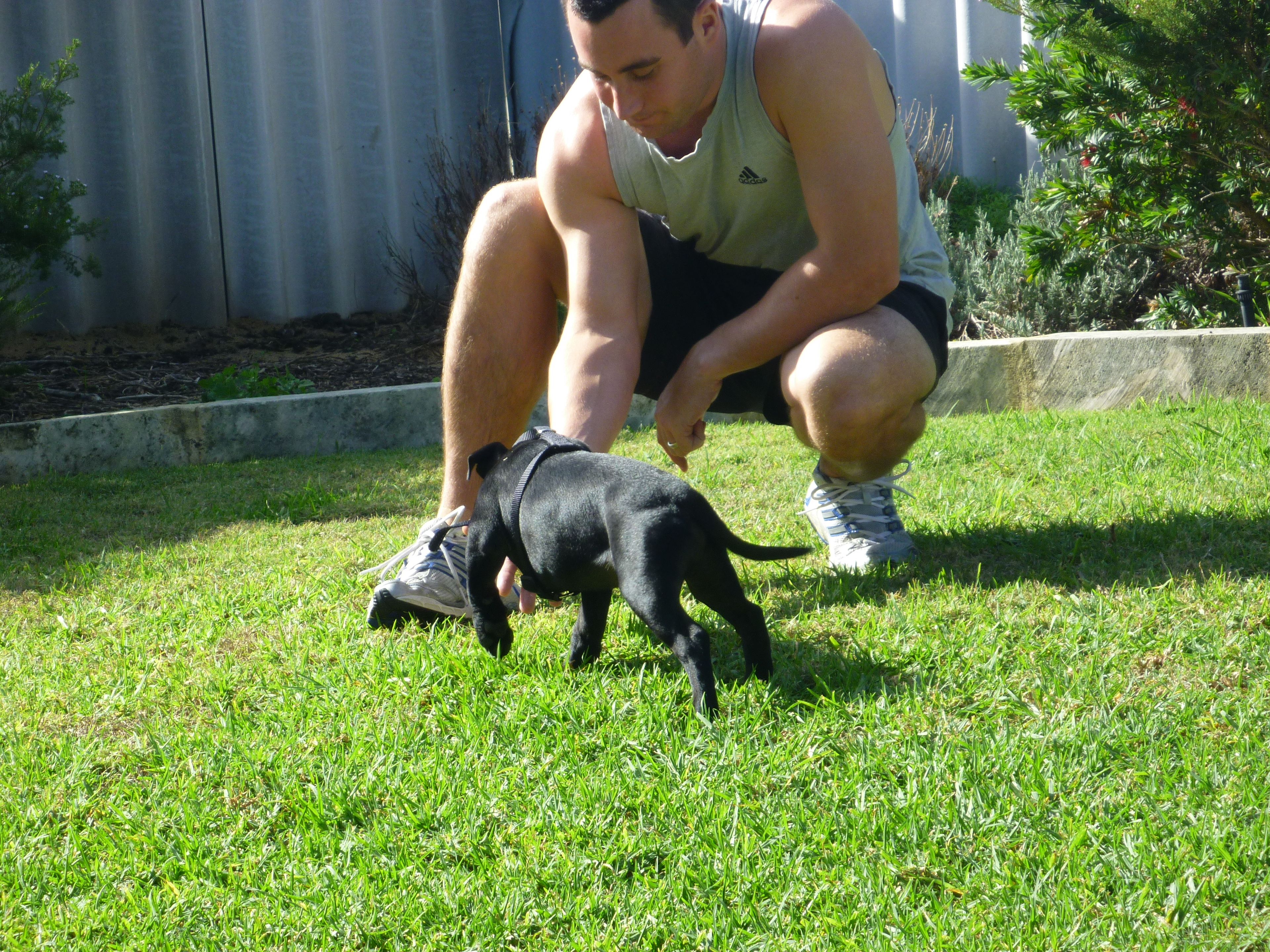 image-23