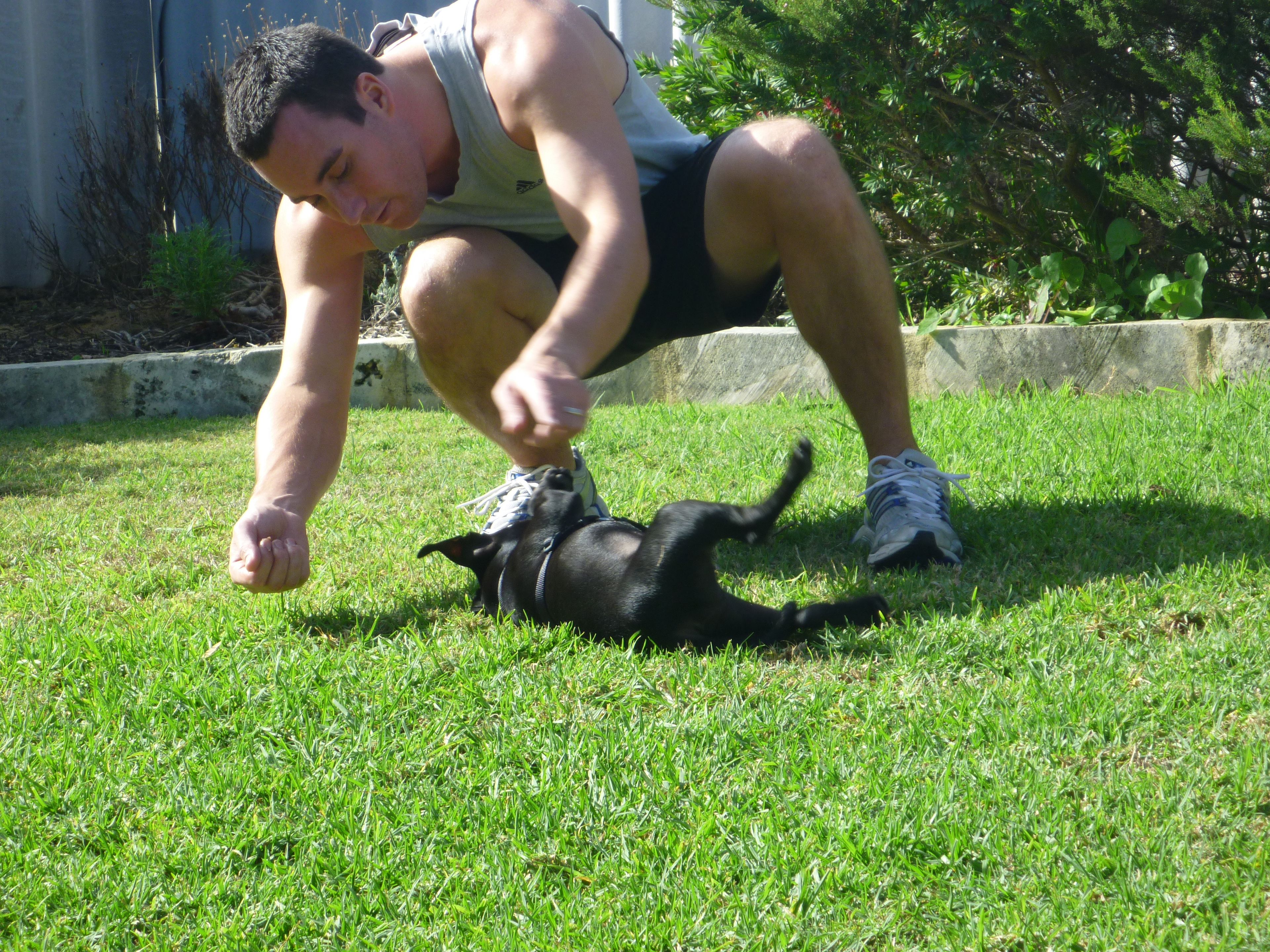 image-27