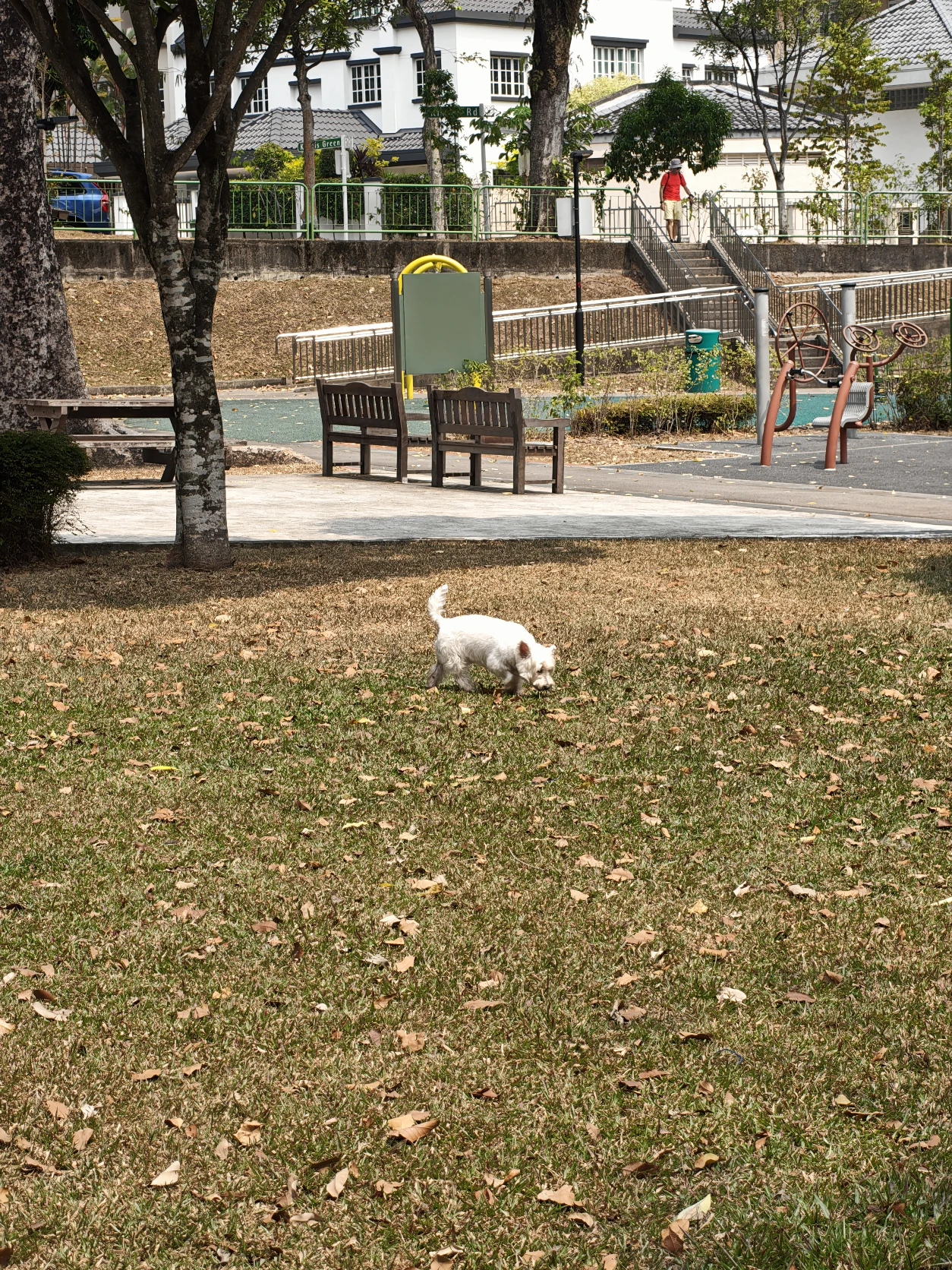 image-15