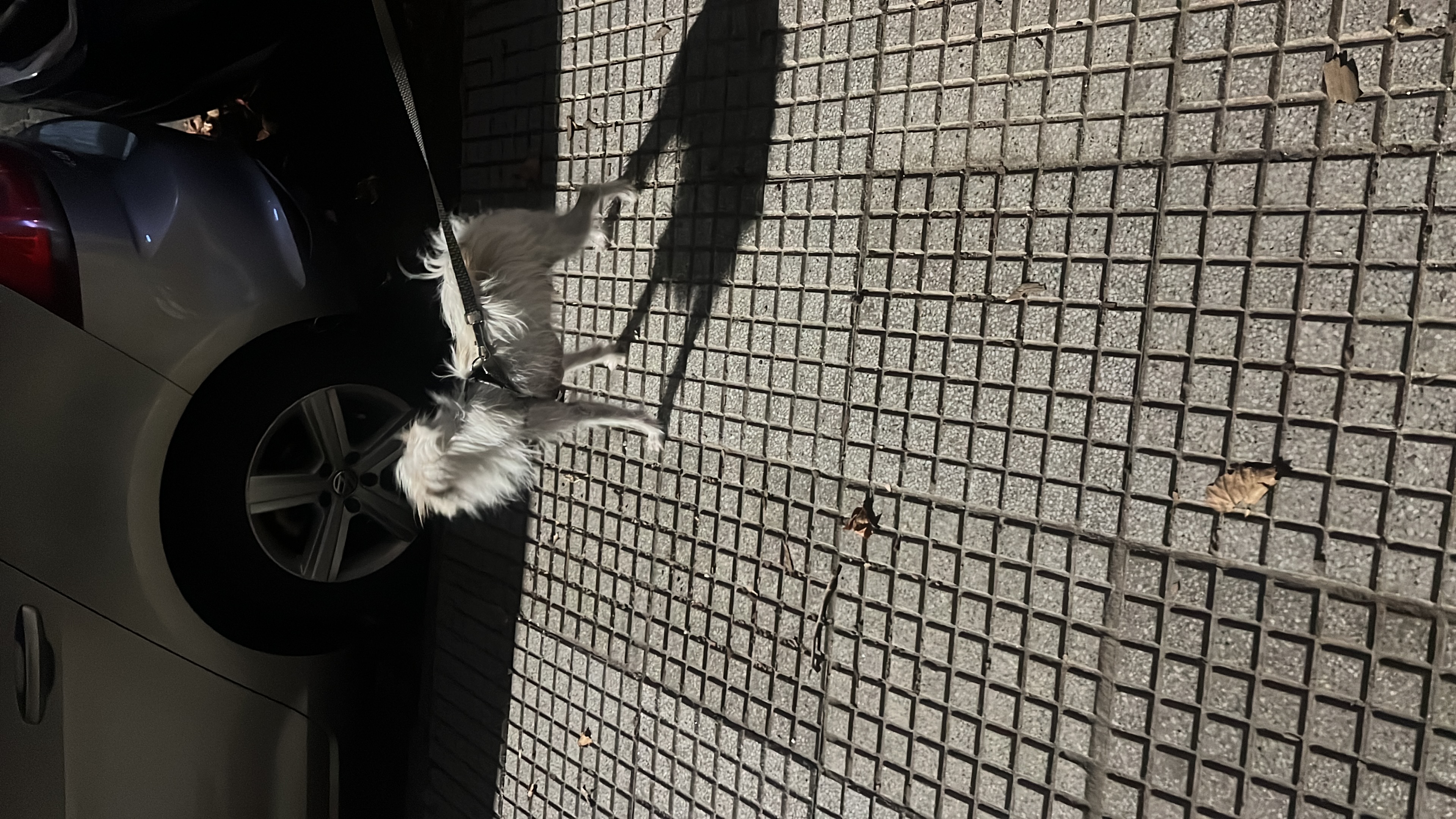 image-8