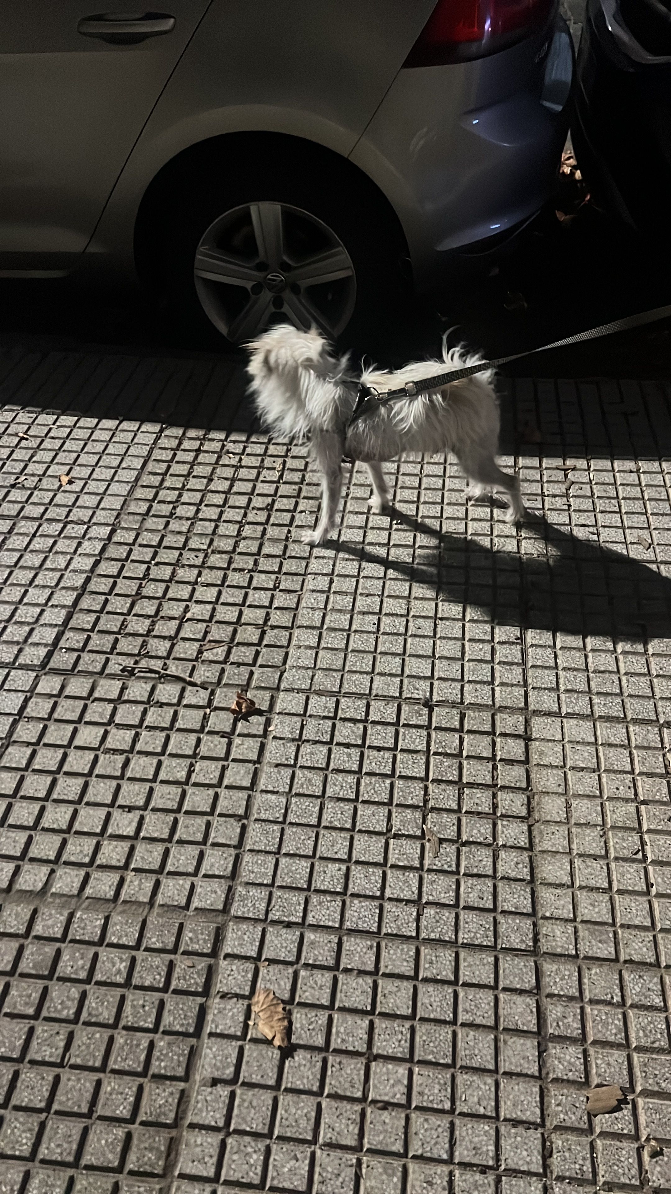 image-8