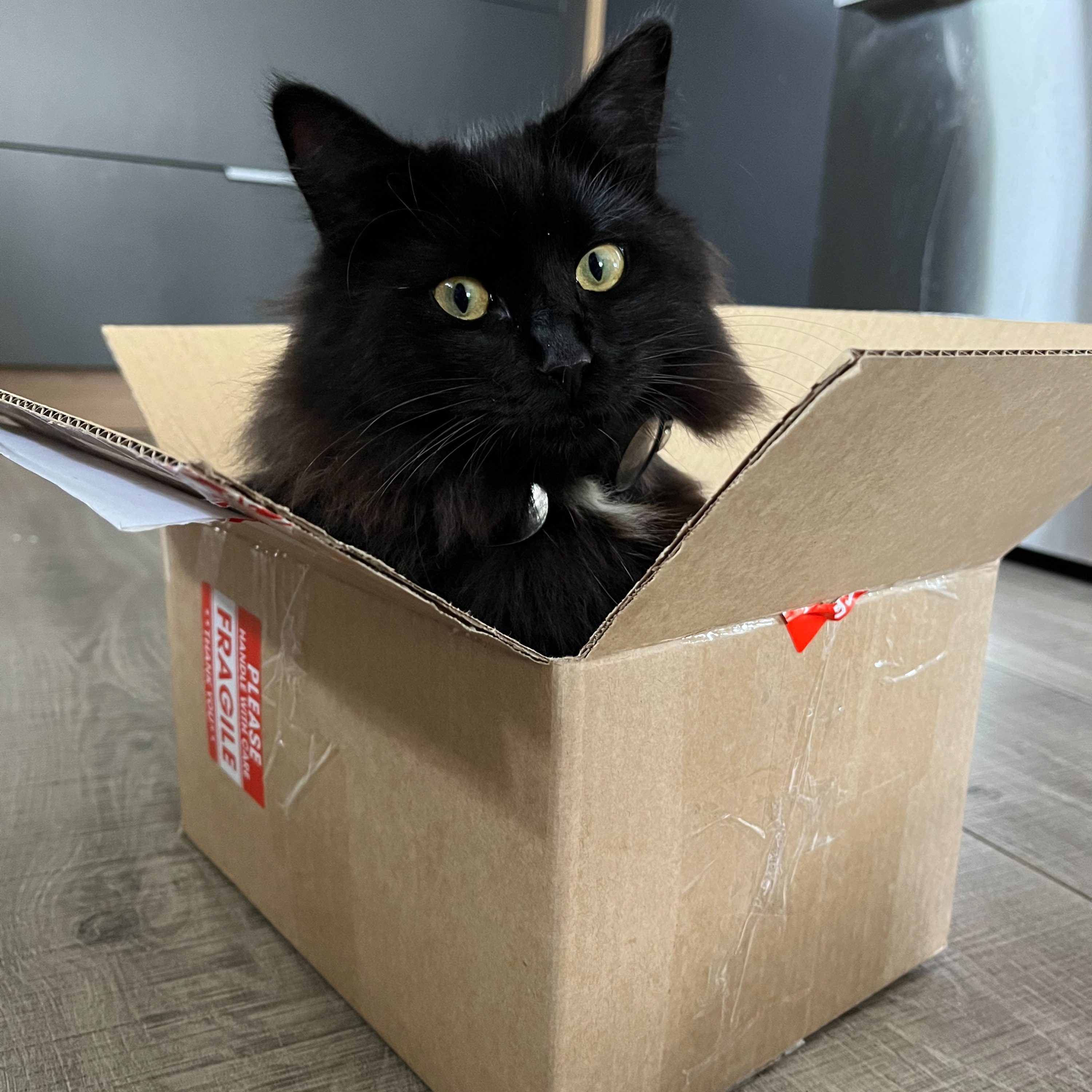 Oscar