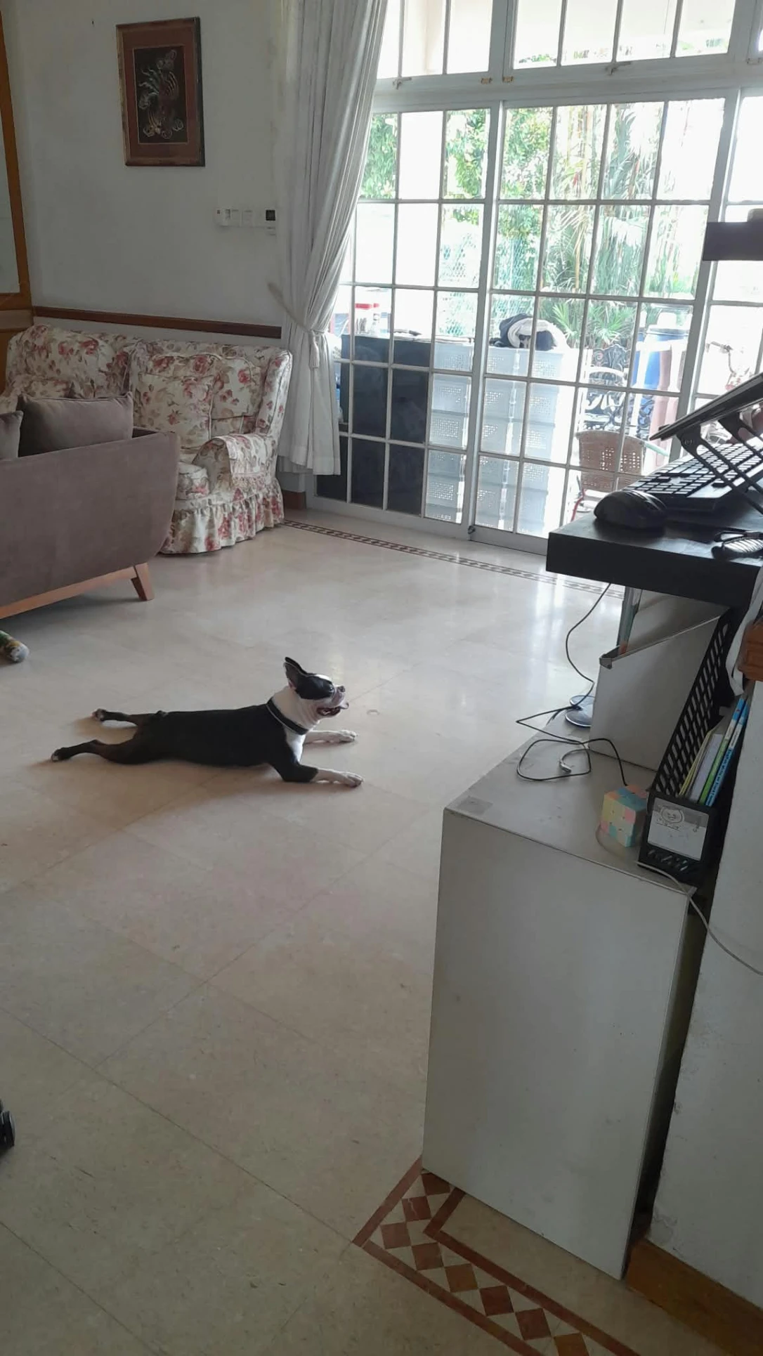 image-15