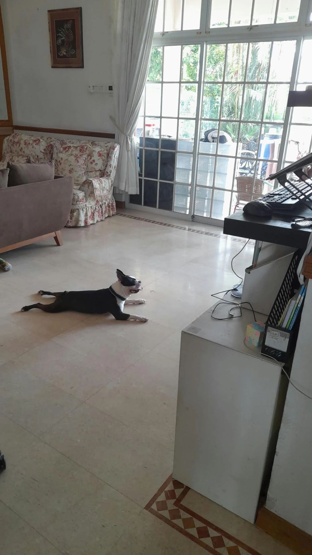 image-15