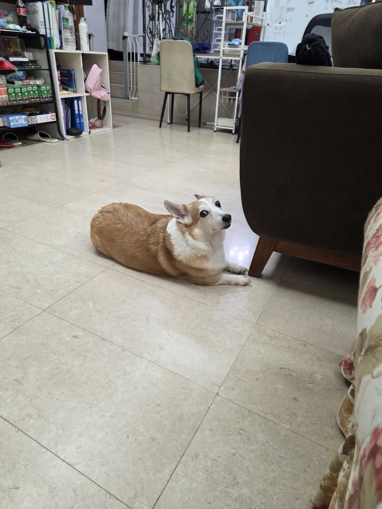 image-16