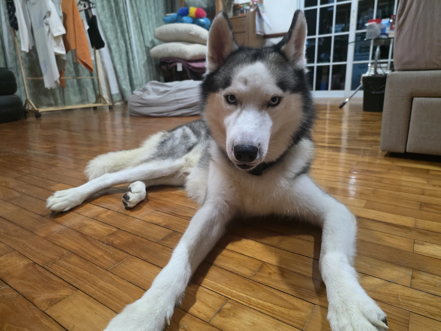 image-14