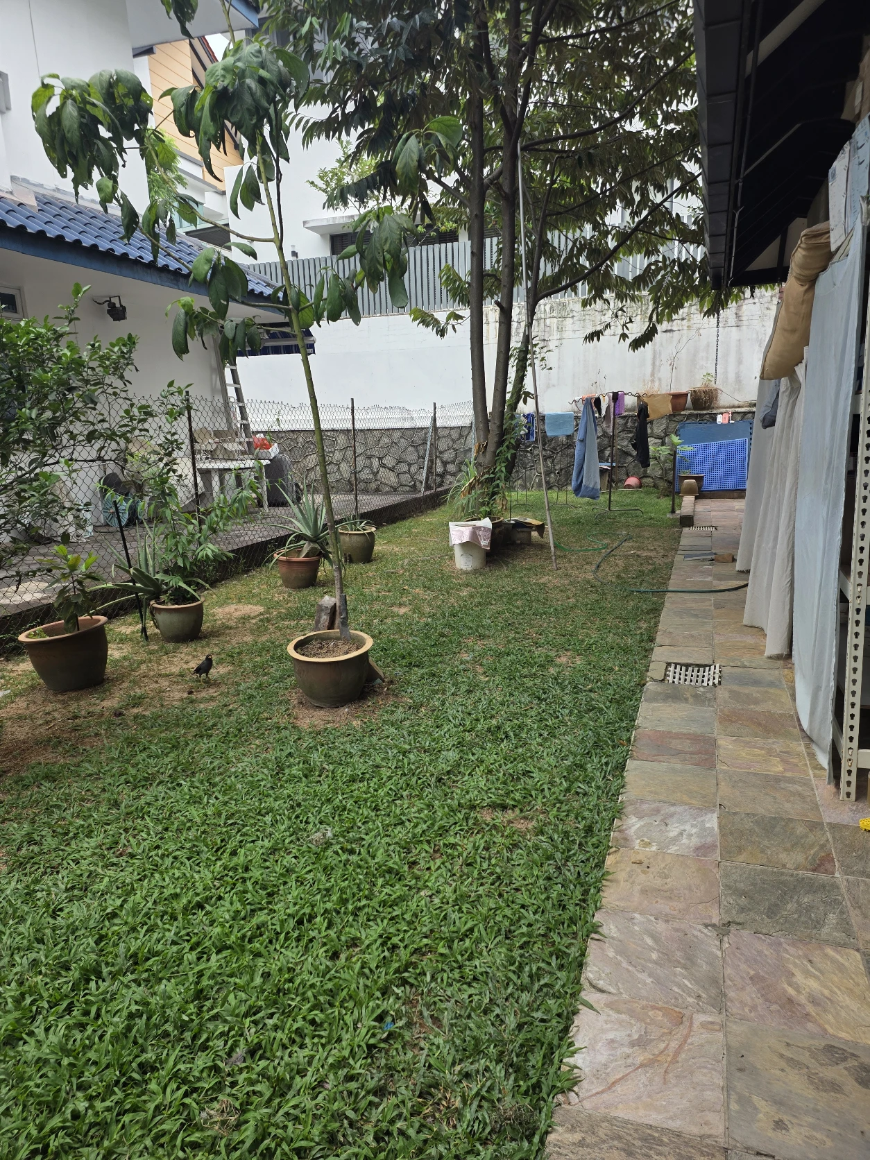 image-23