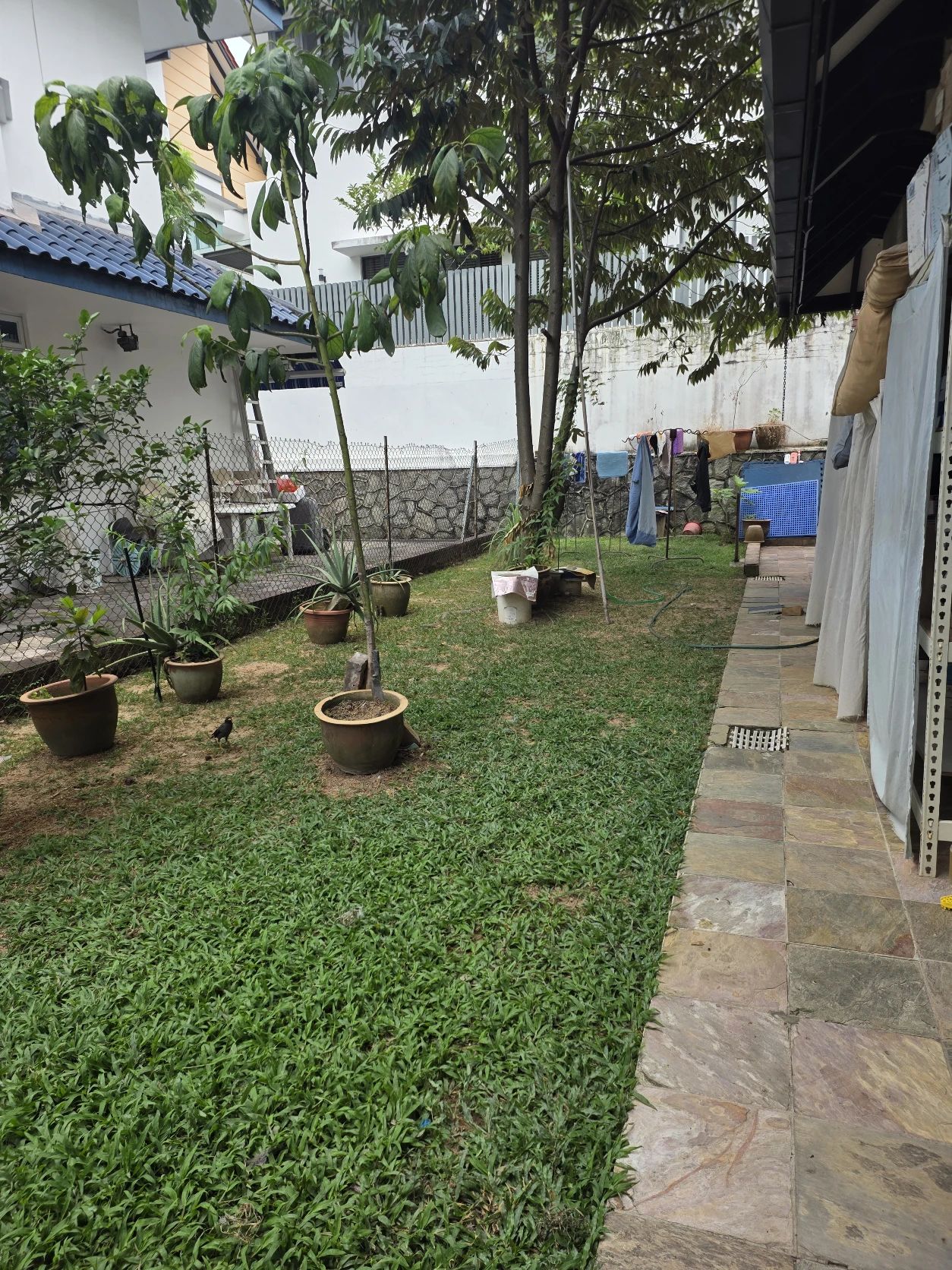 image-23