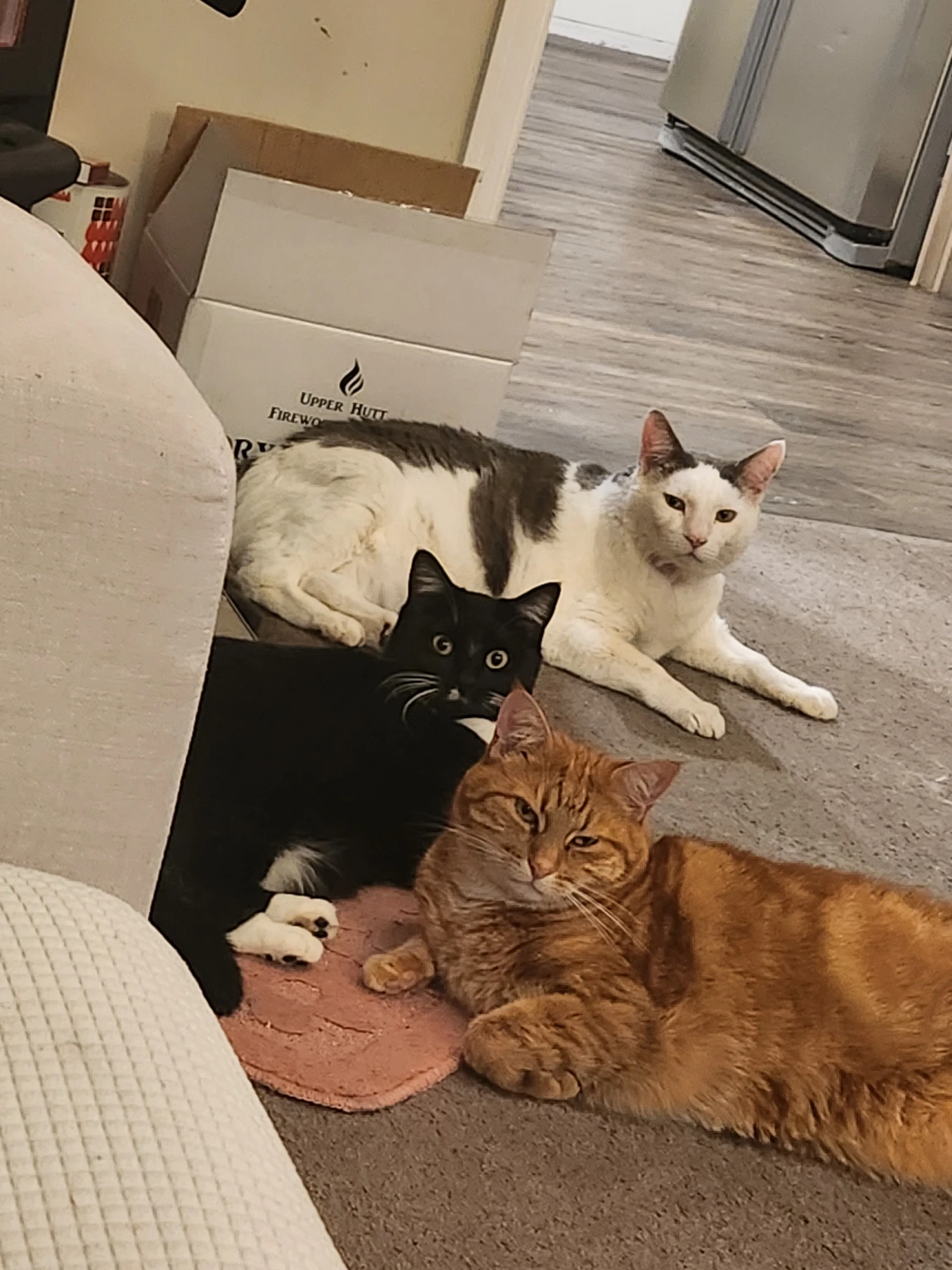 image-6