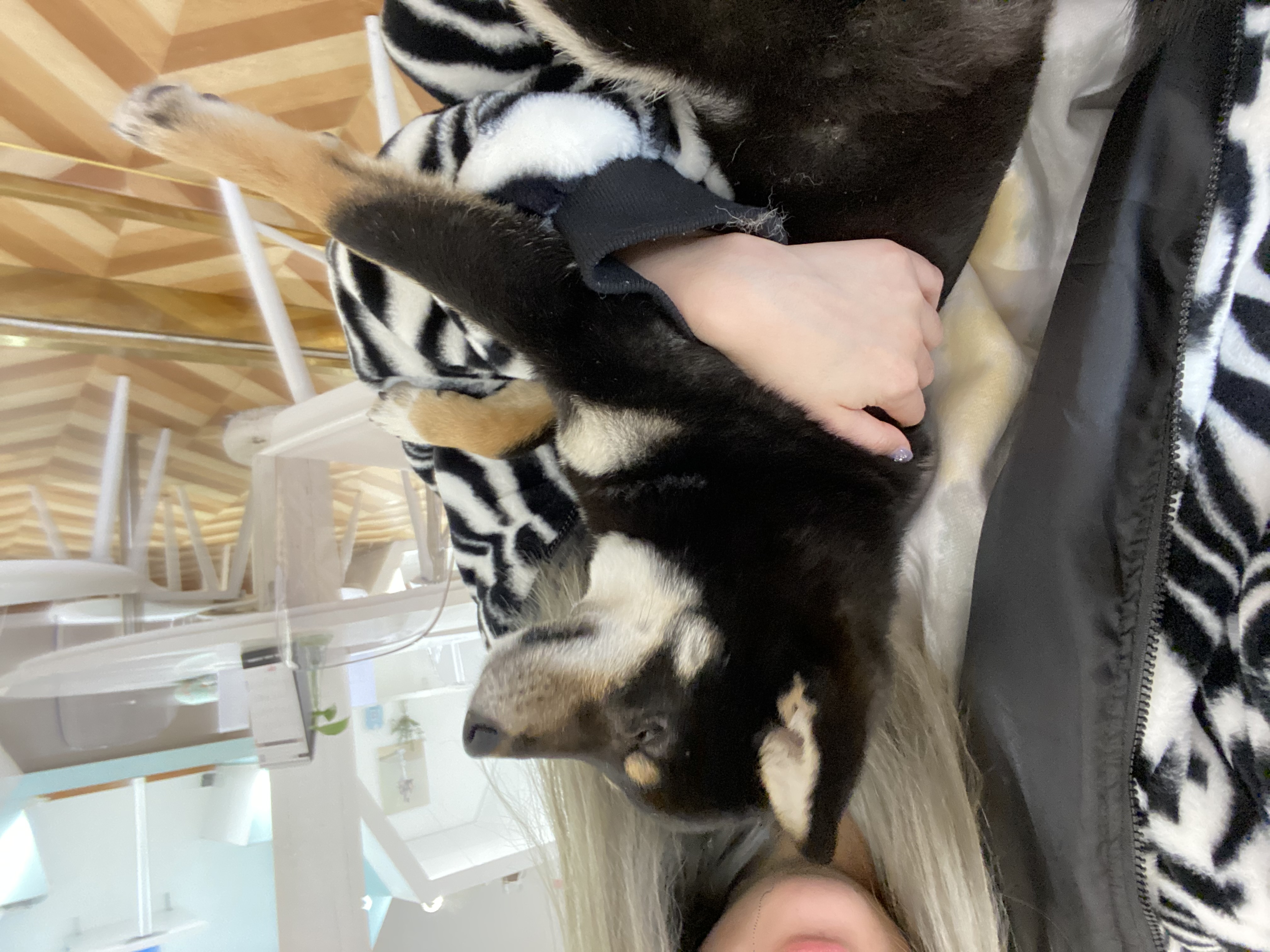 image-10