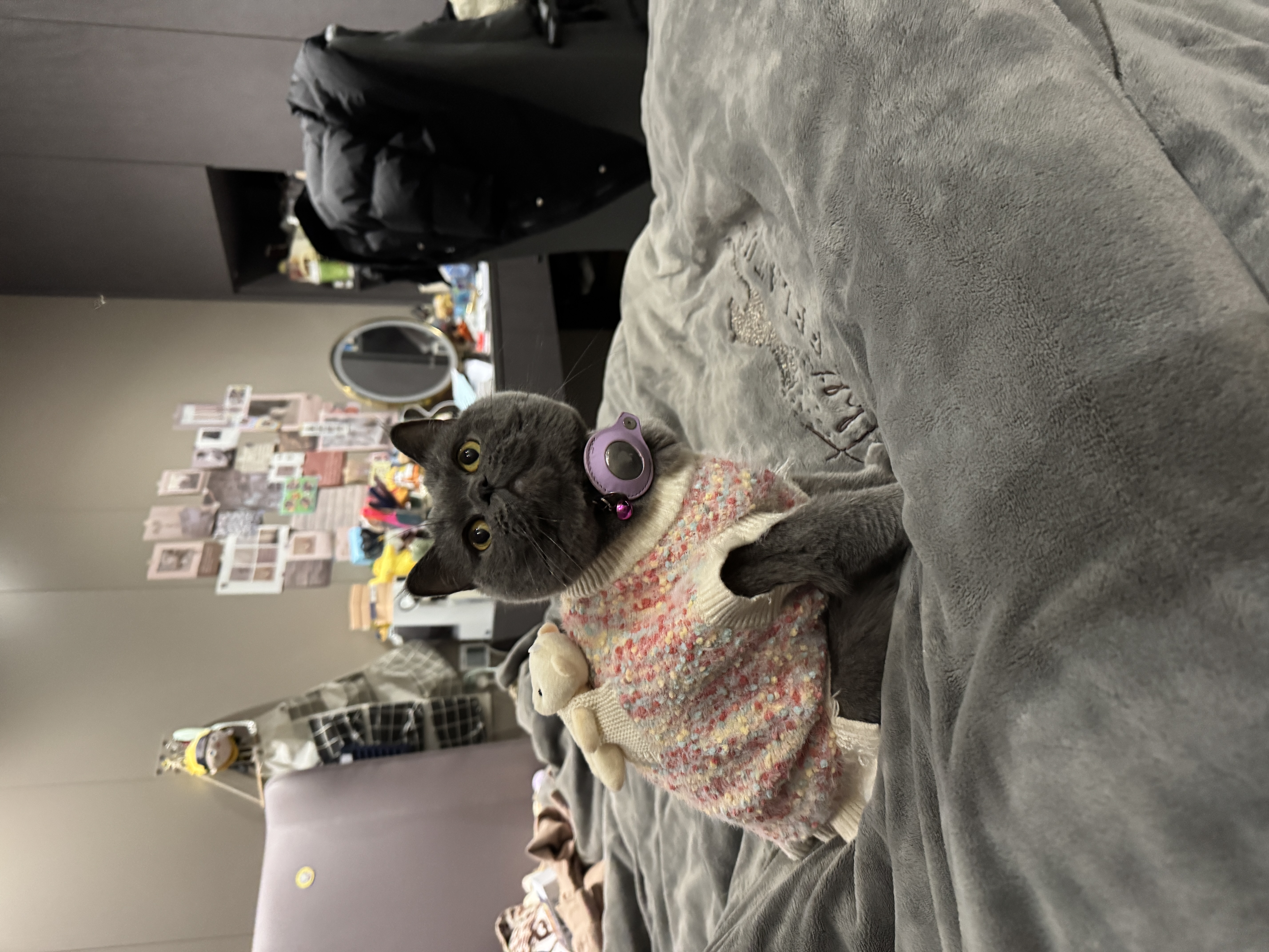 image-13