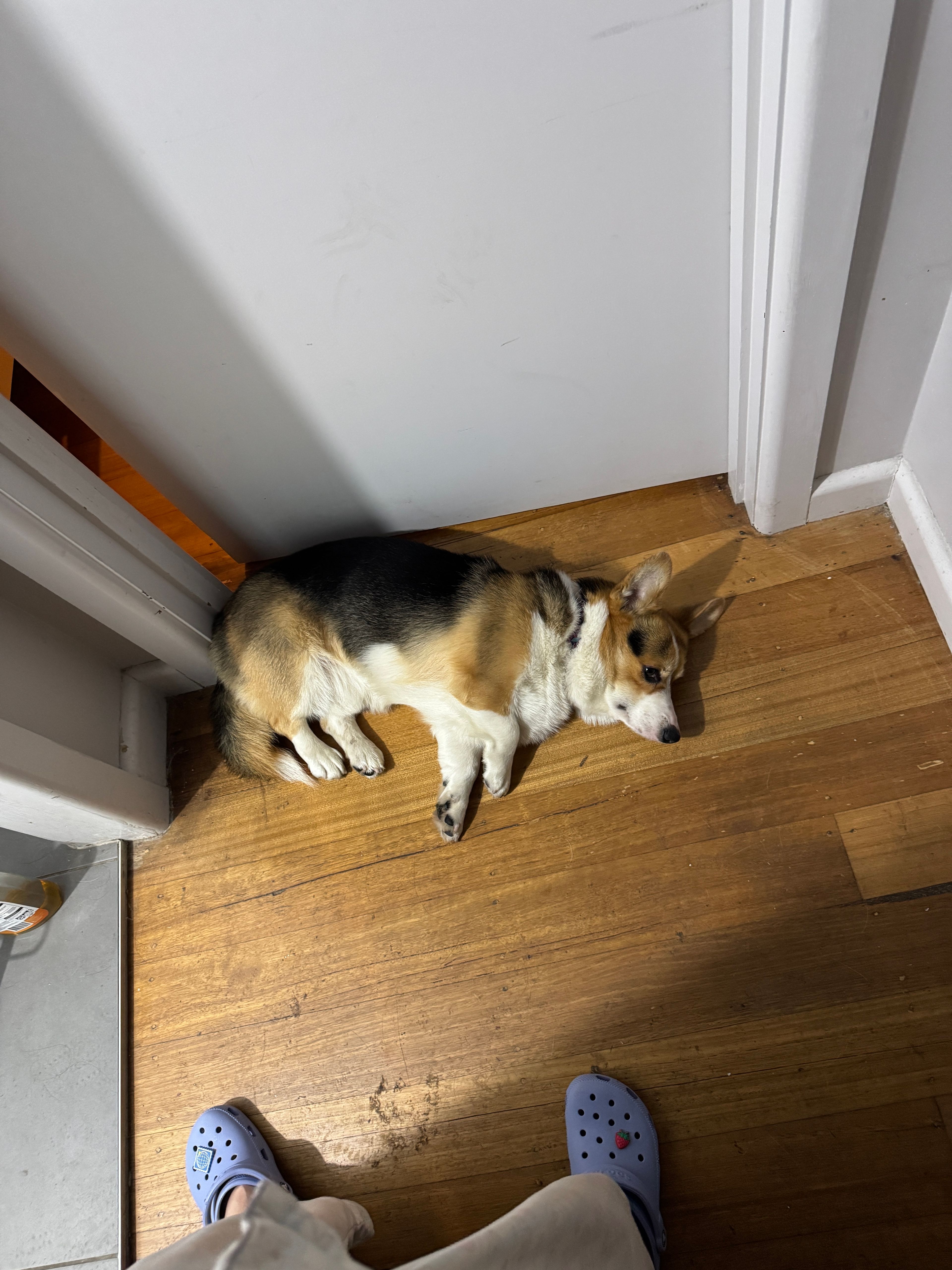 image-18