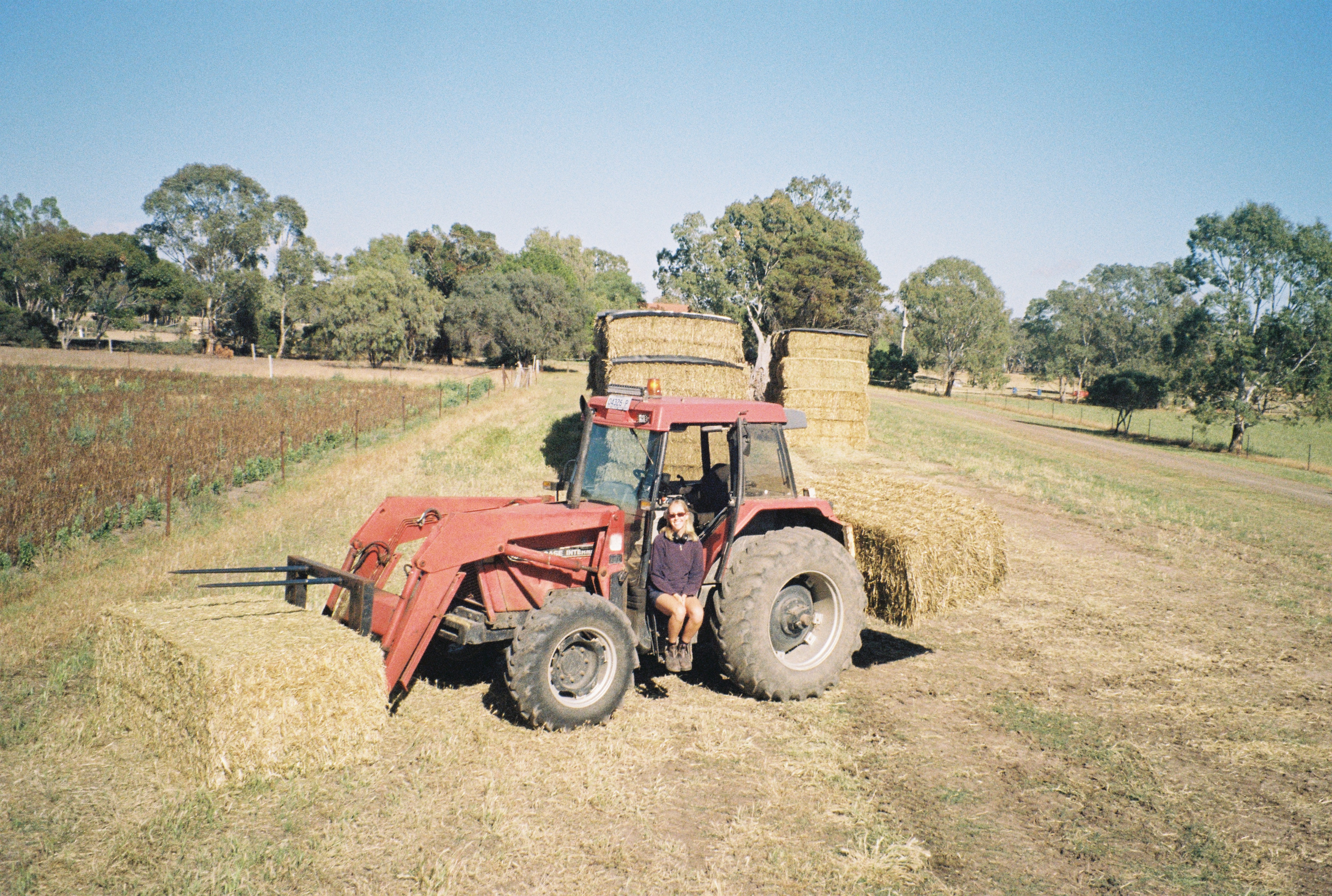 image-8