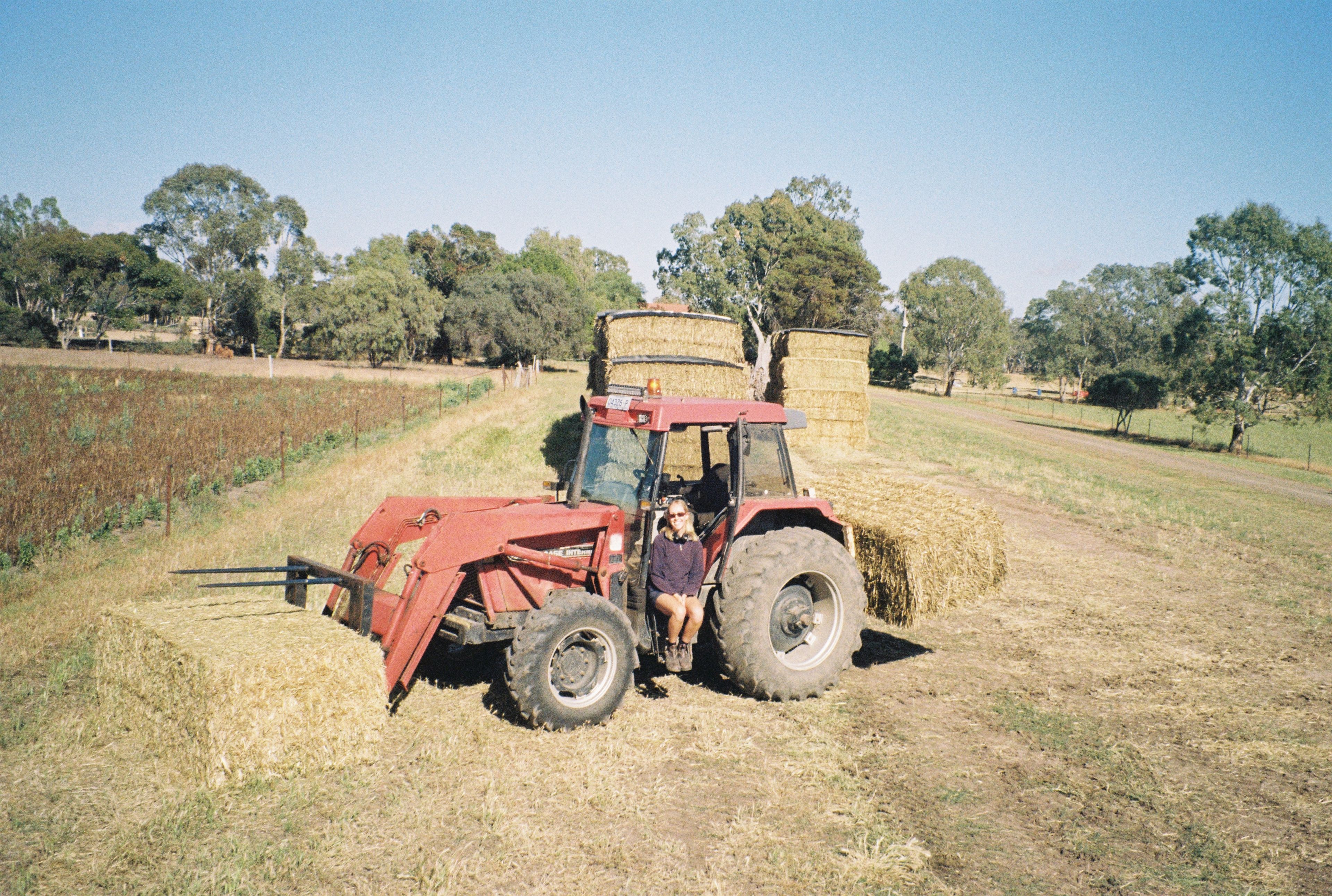 image-8