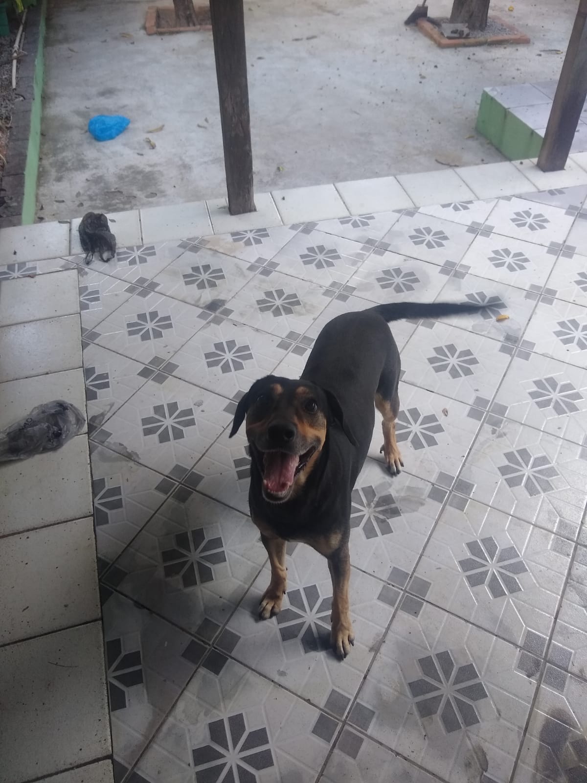 image-10