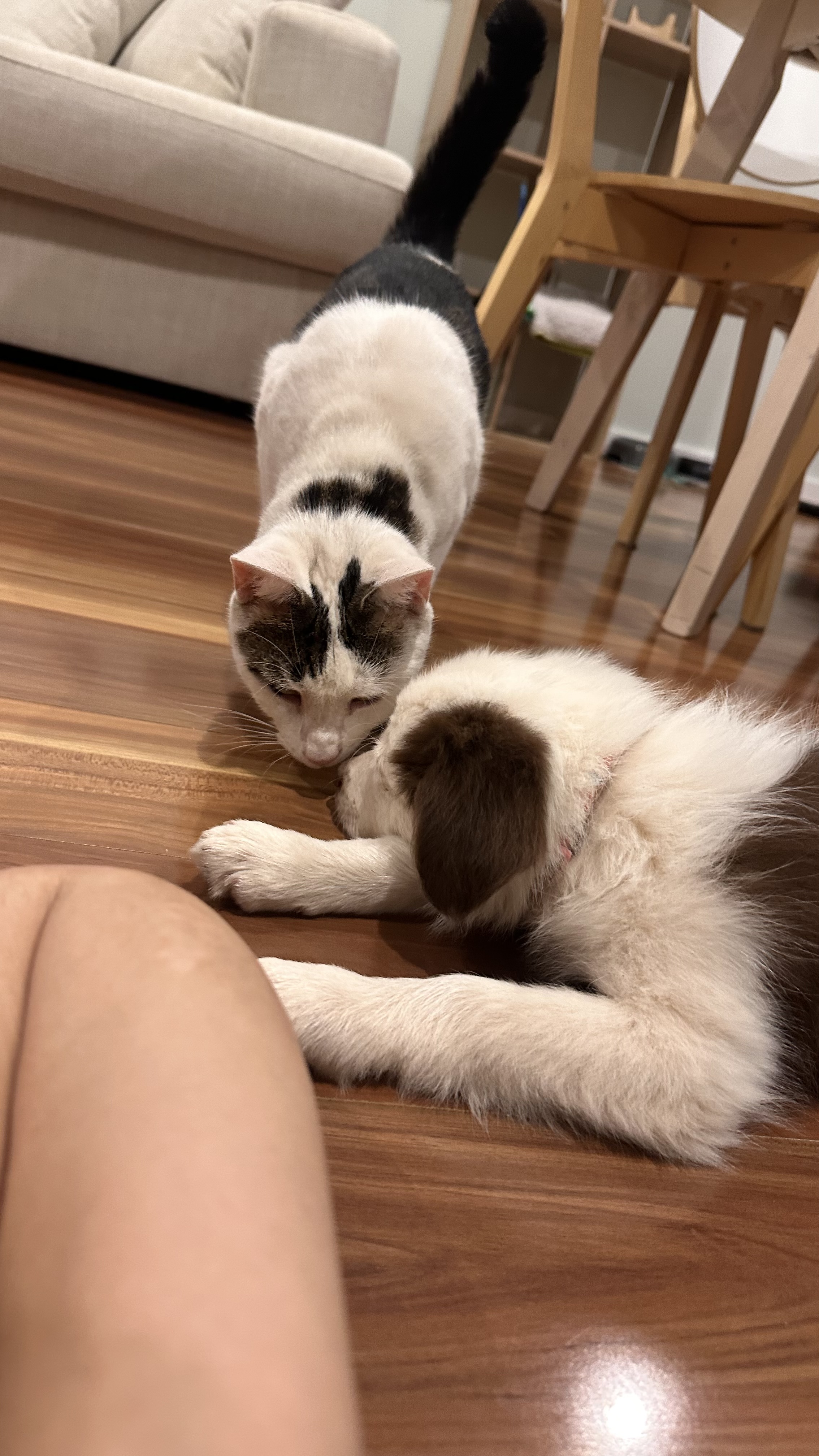 image-16