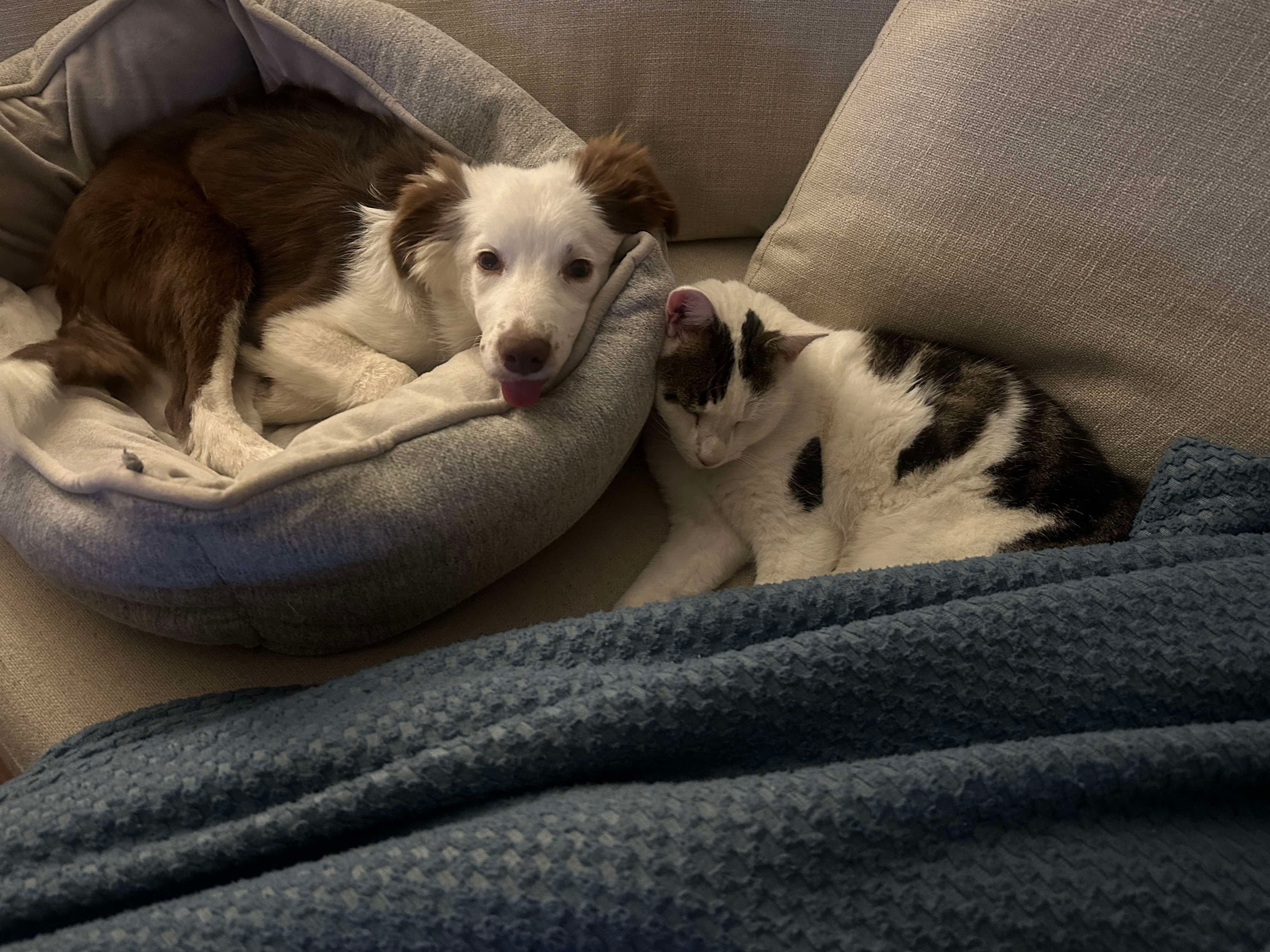 image-7