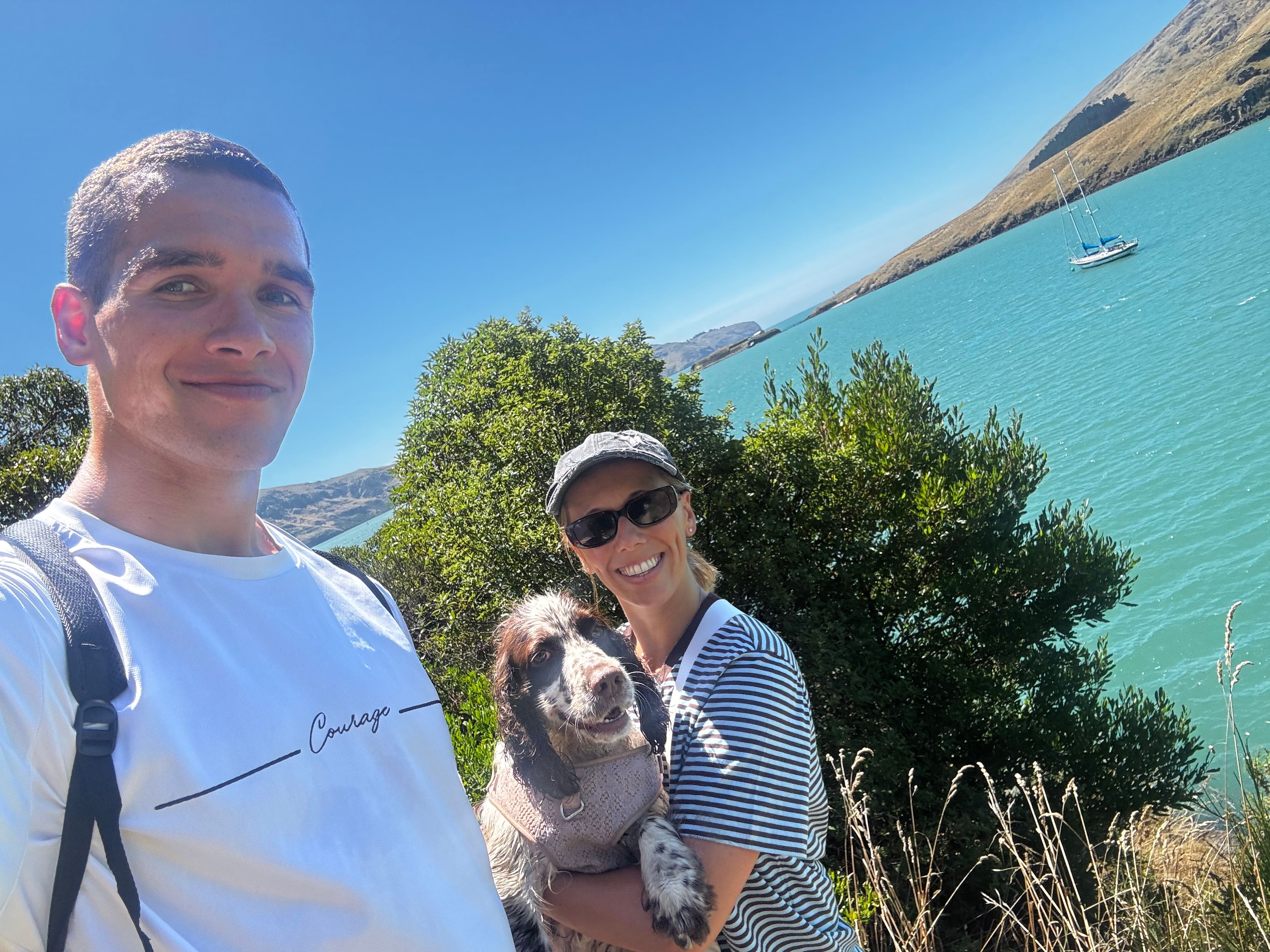 image-2