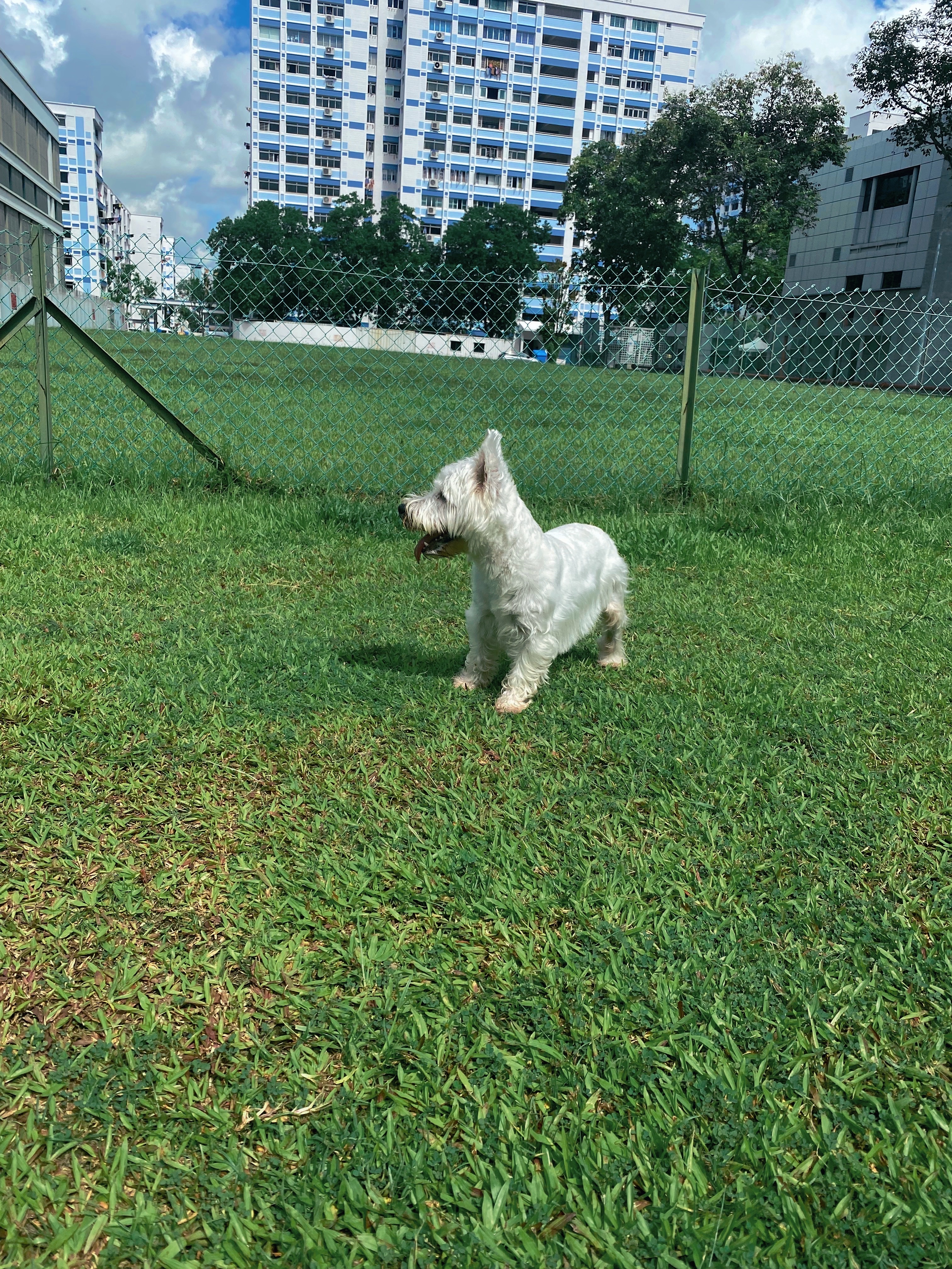 image-24