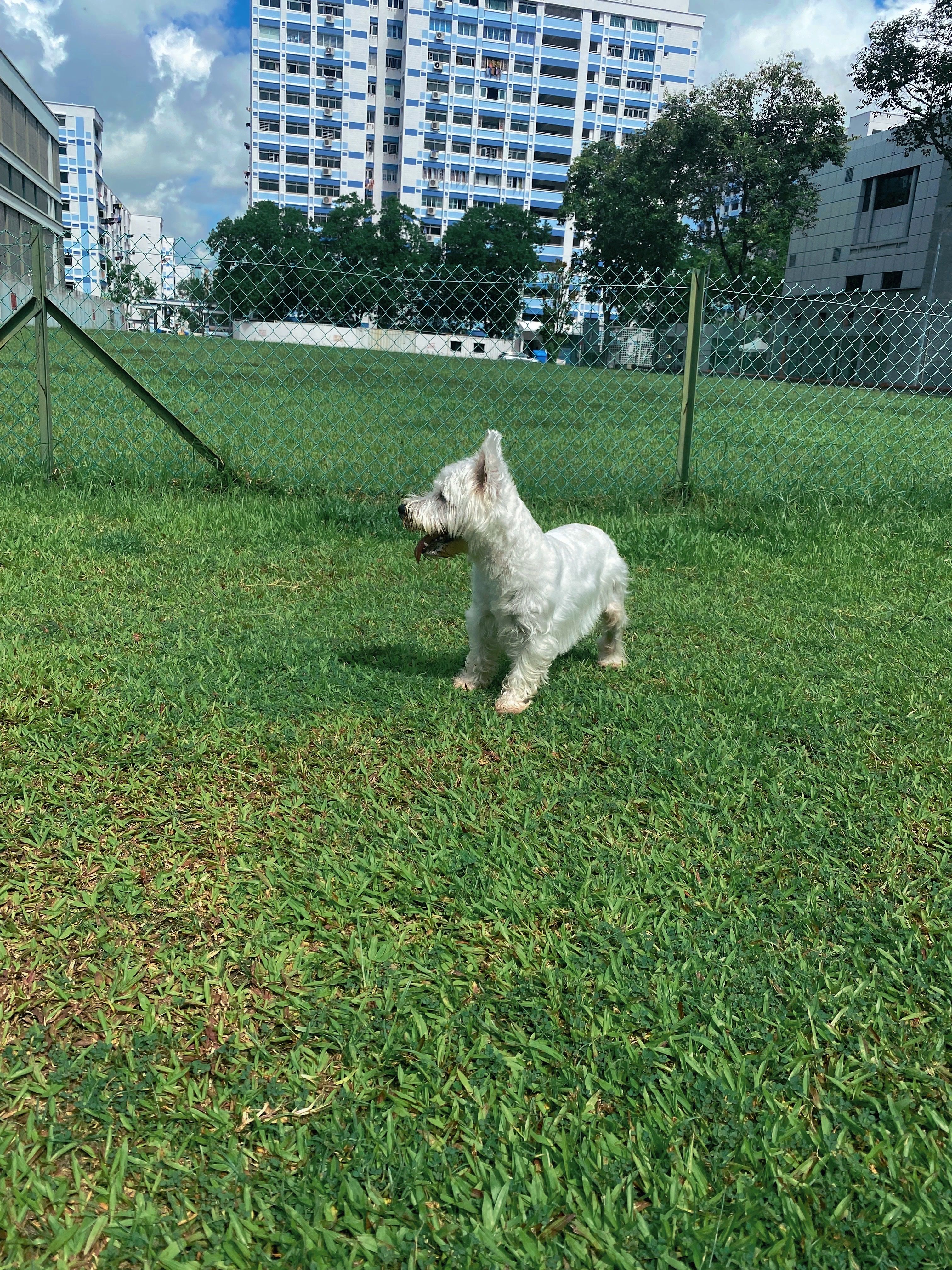 image-24