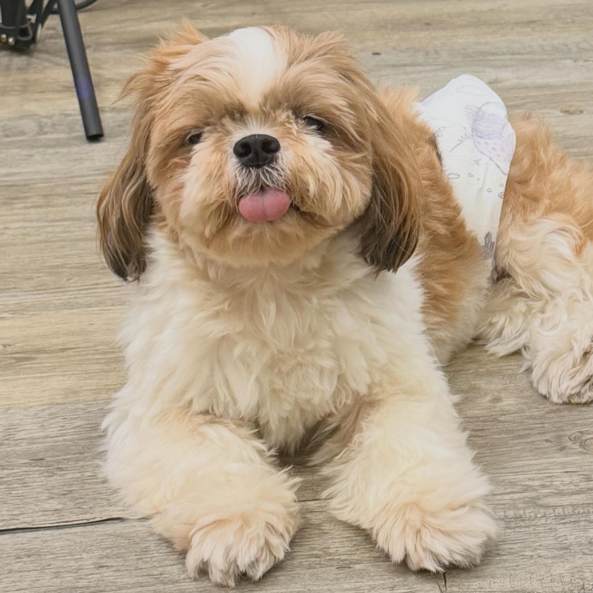Peanut