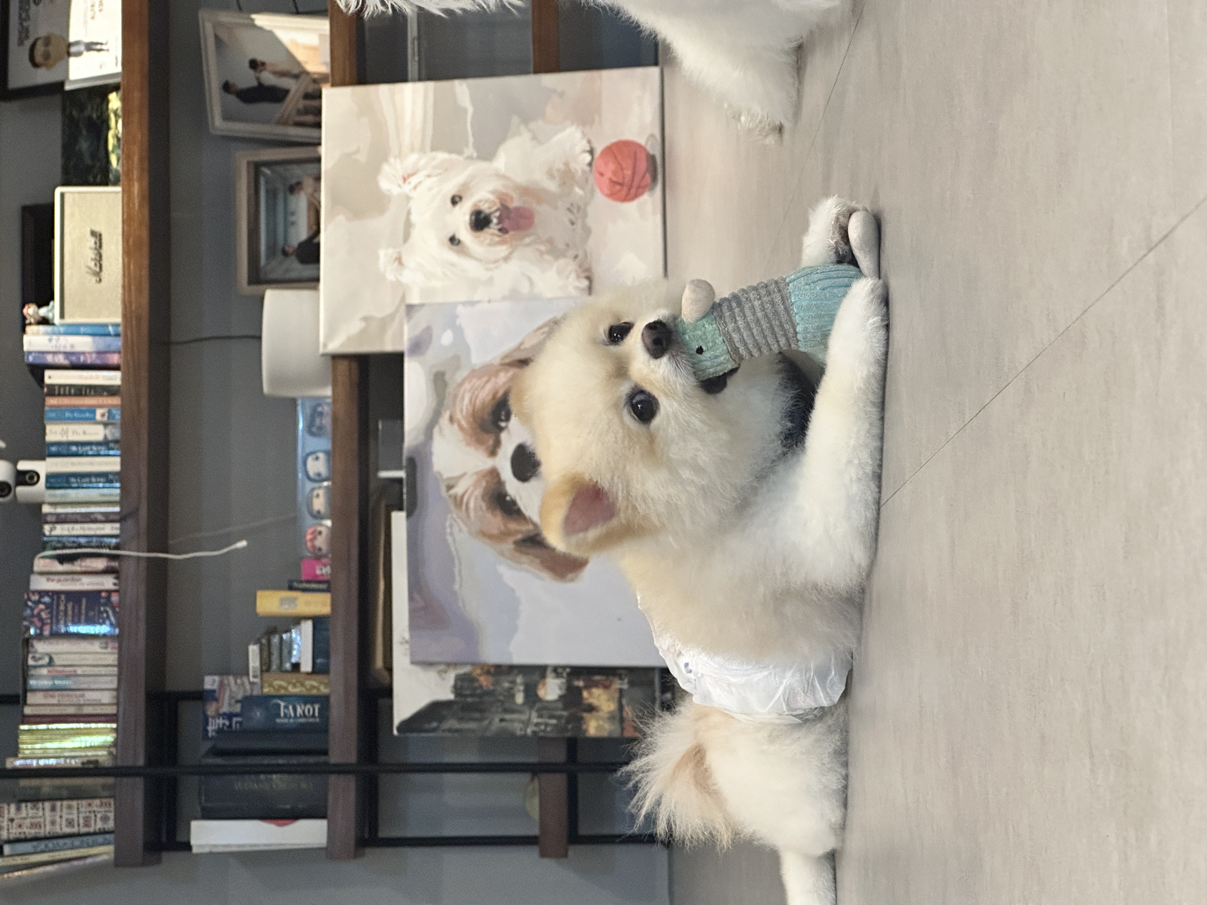 image-9