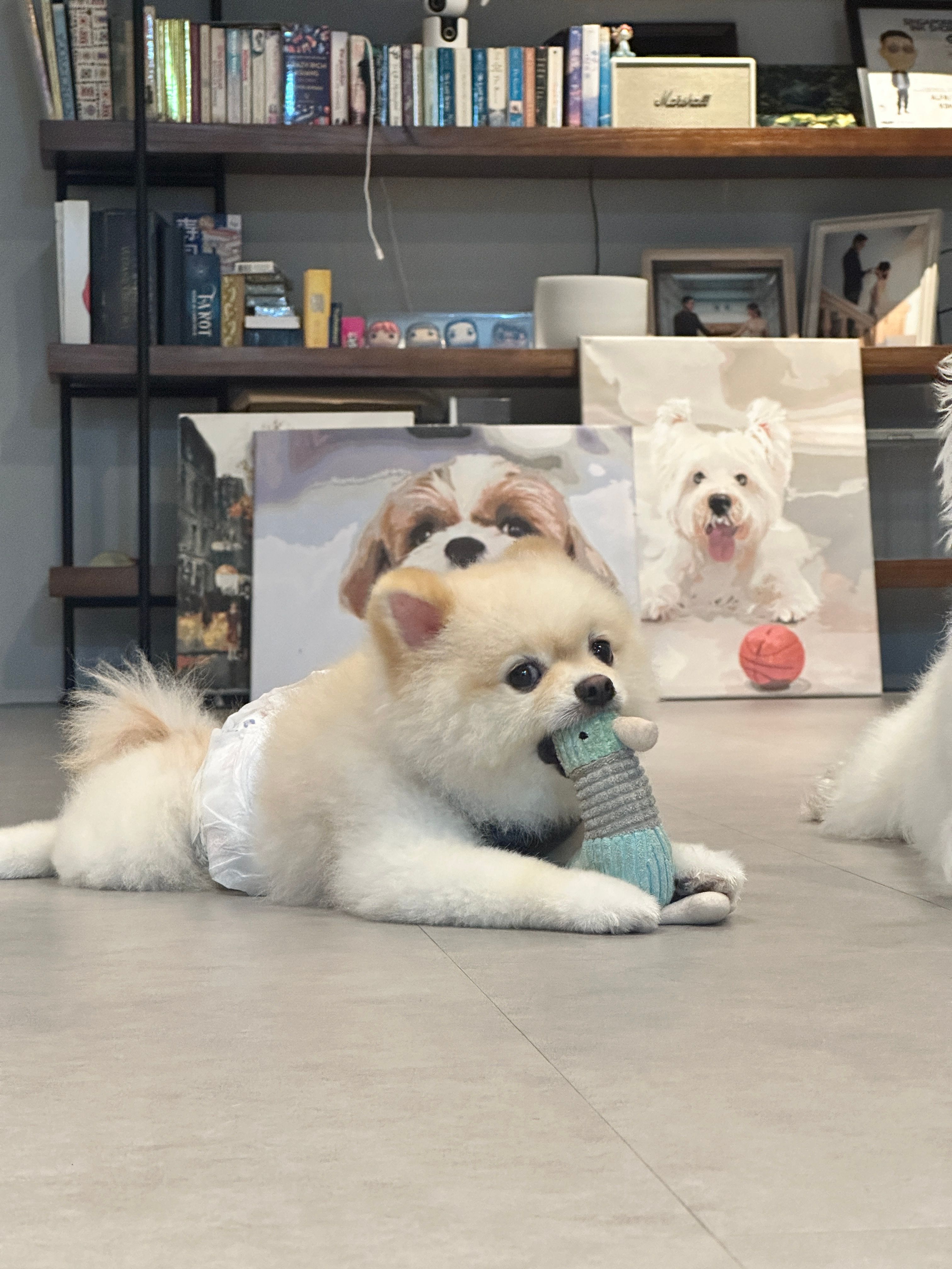 image-9