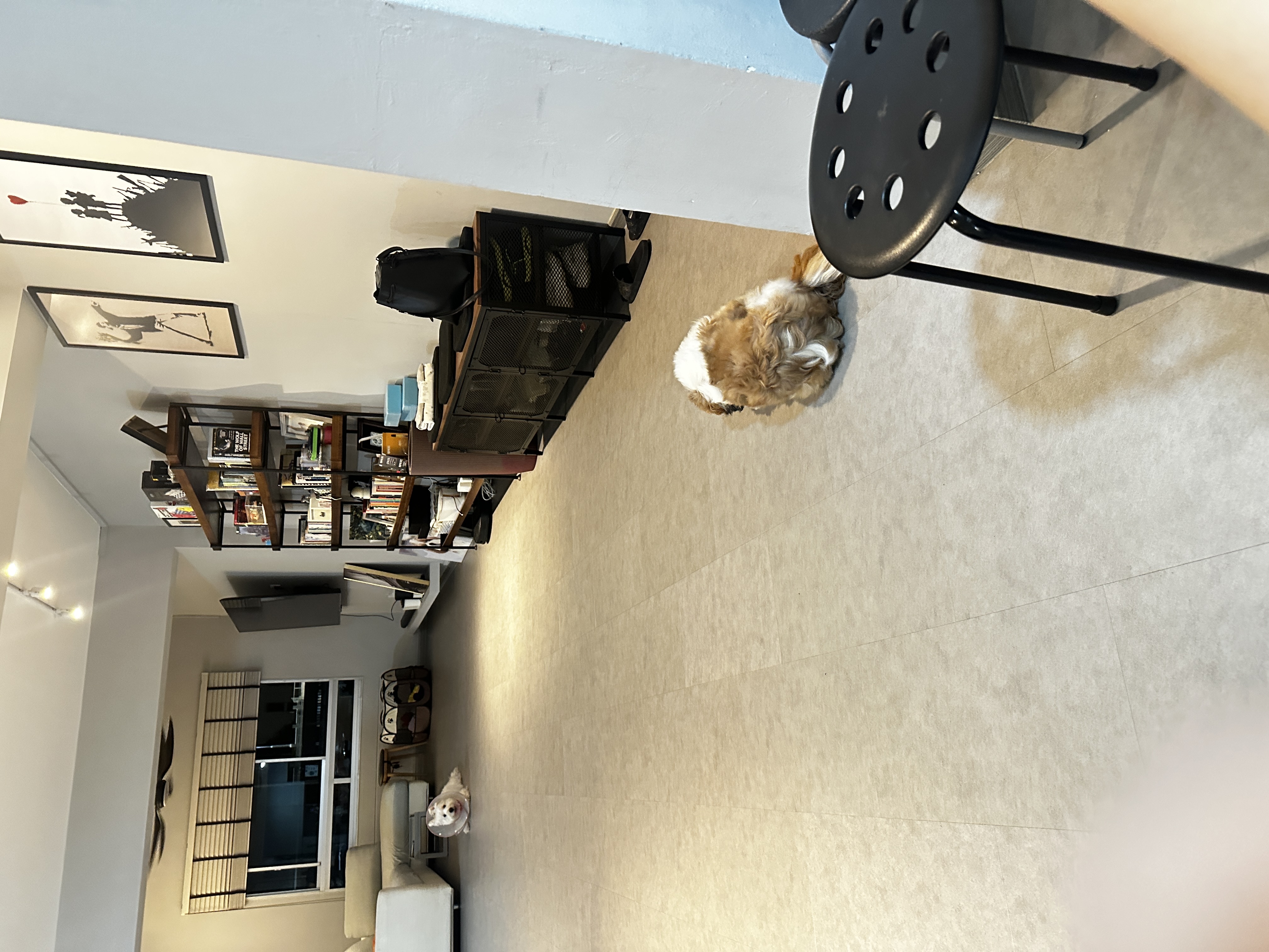 image-37