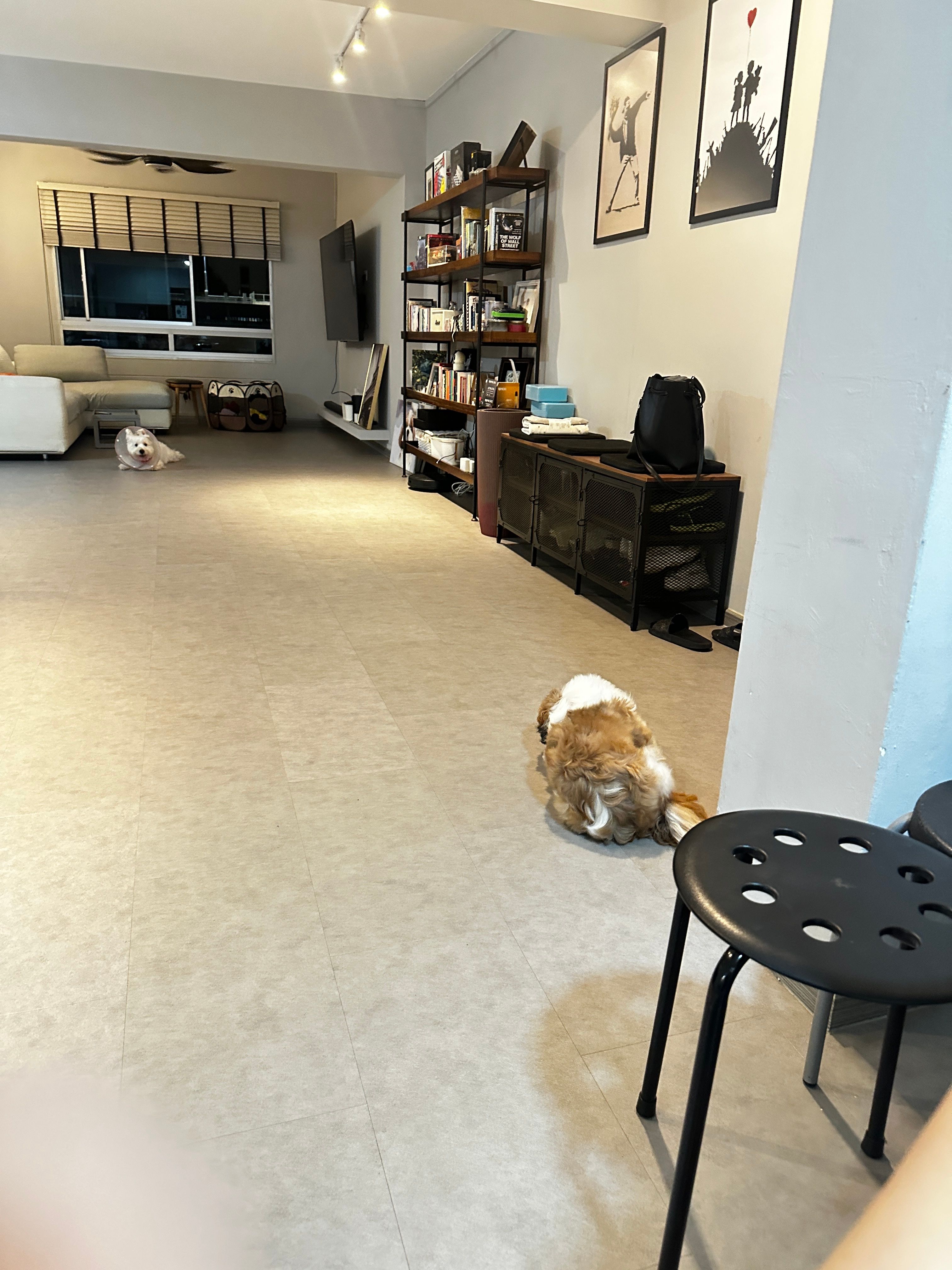 image-37