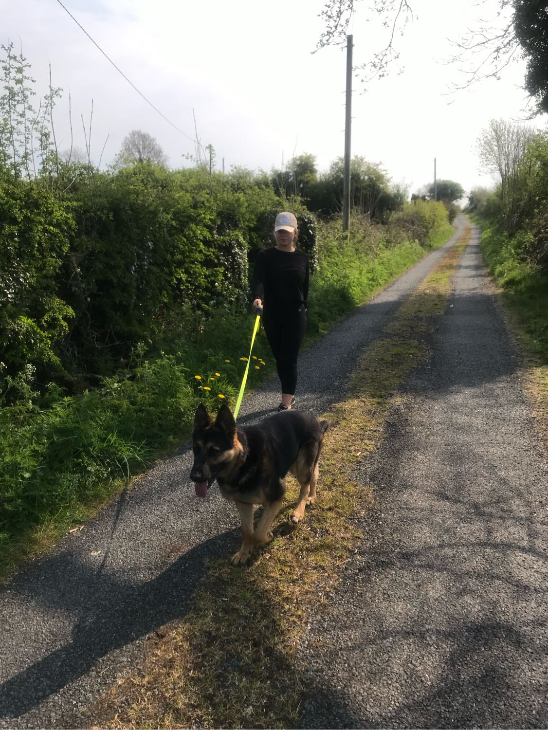 image-4