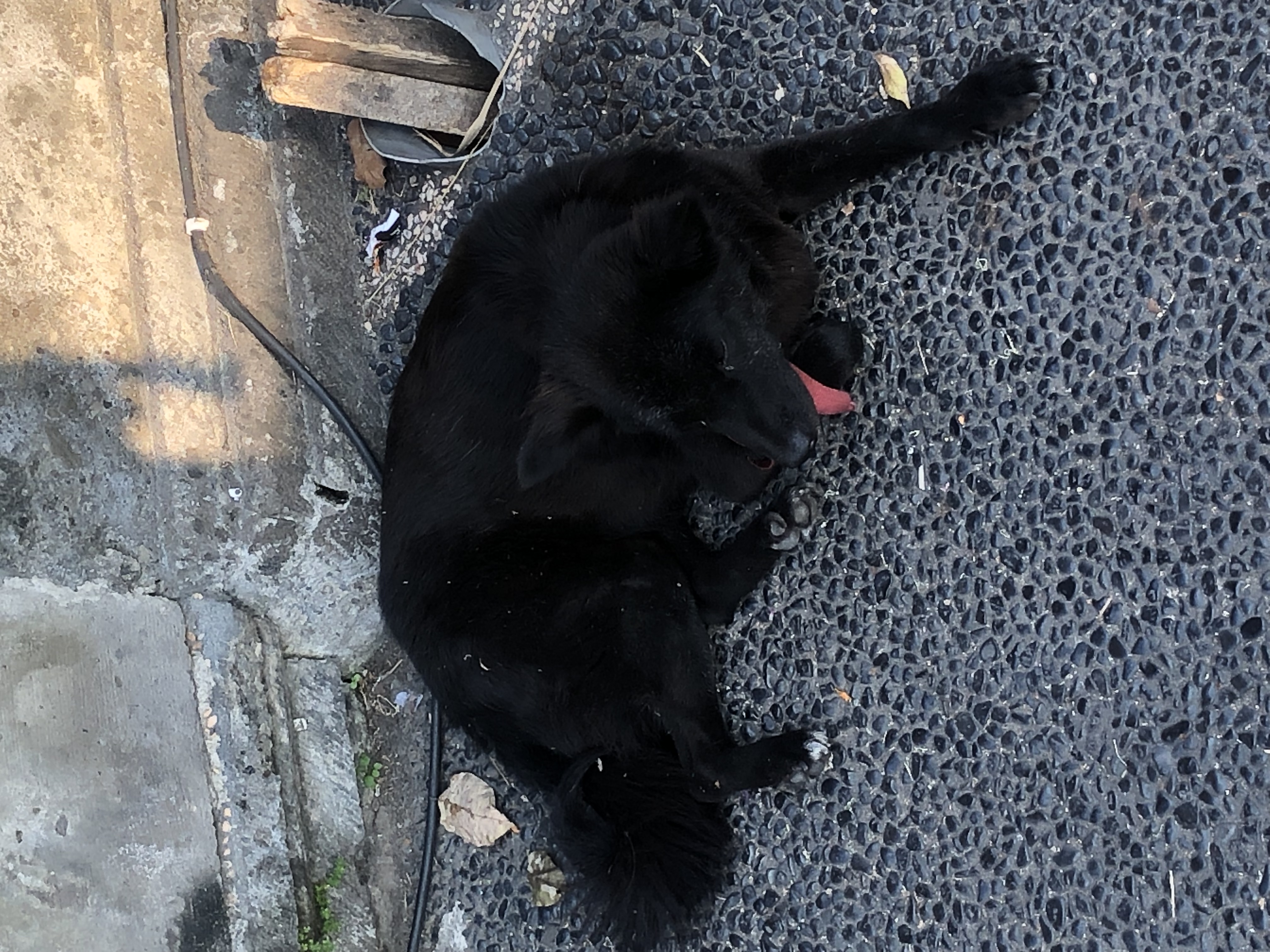 image-7