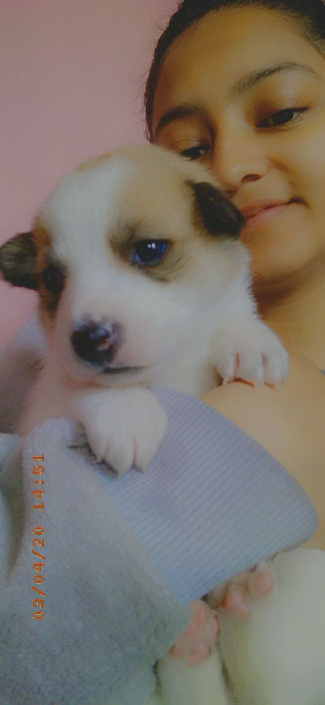 image-3