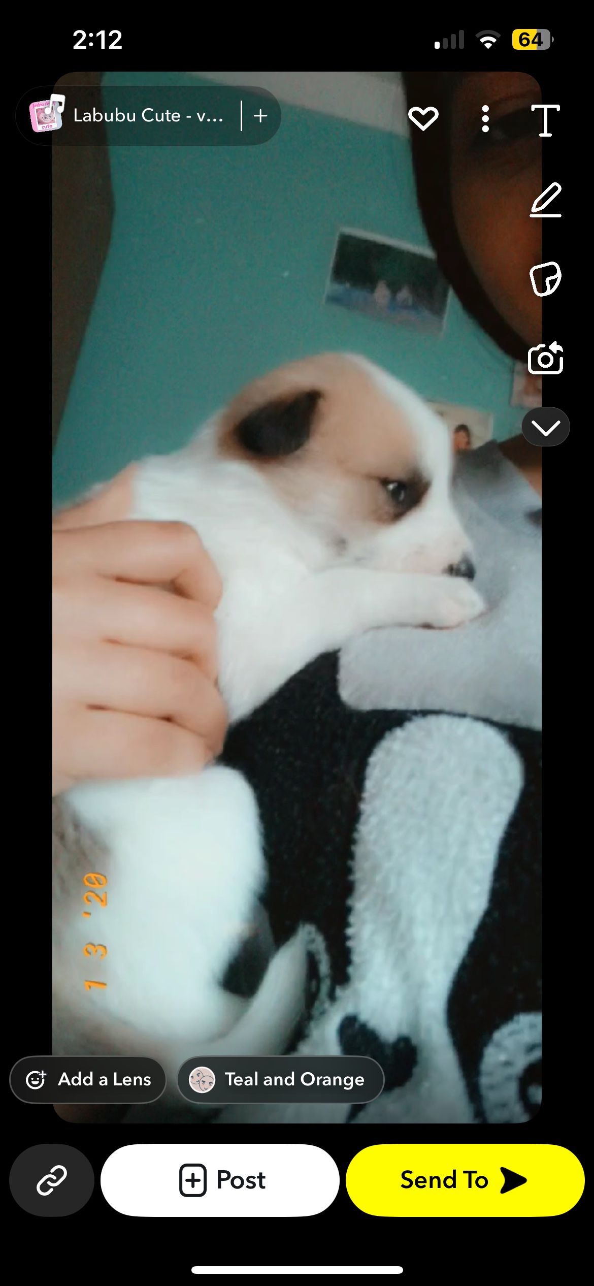 image-5