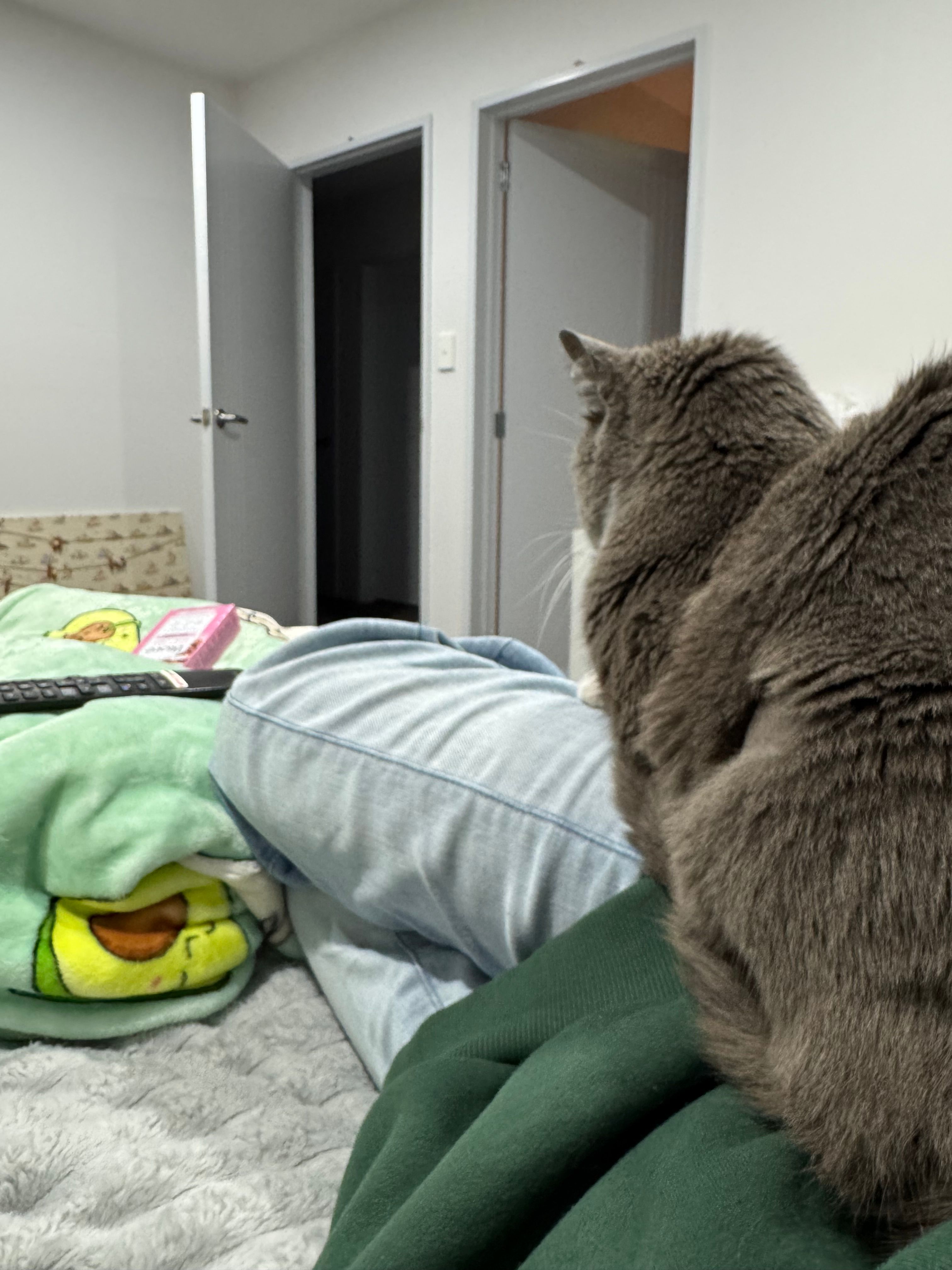 image-6