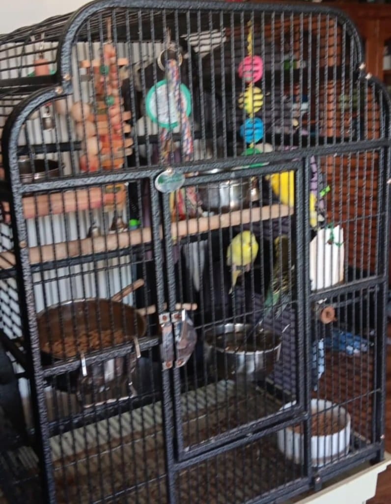image-8