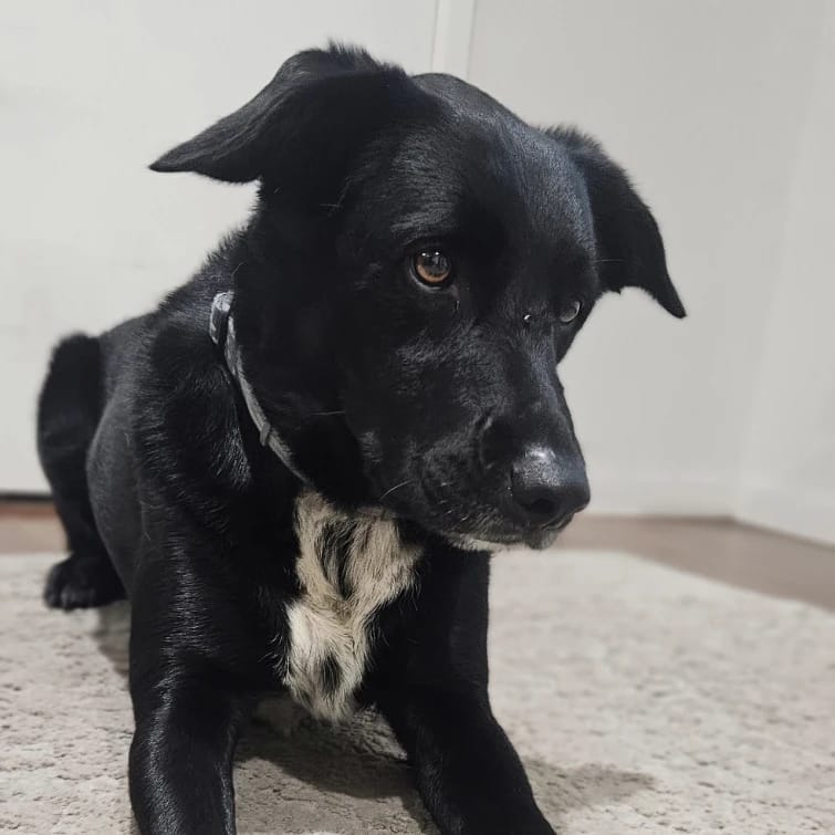 Tuku