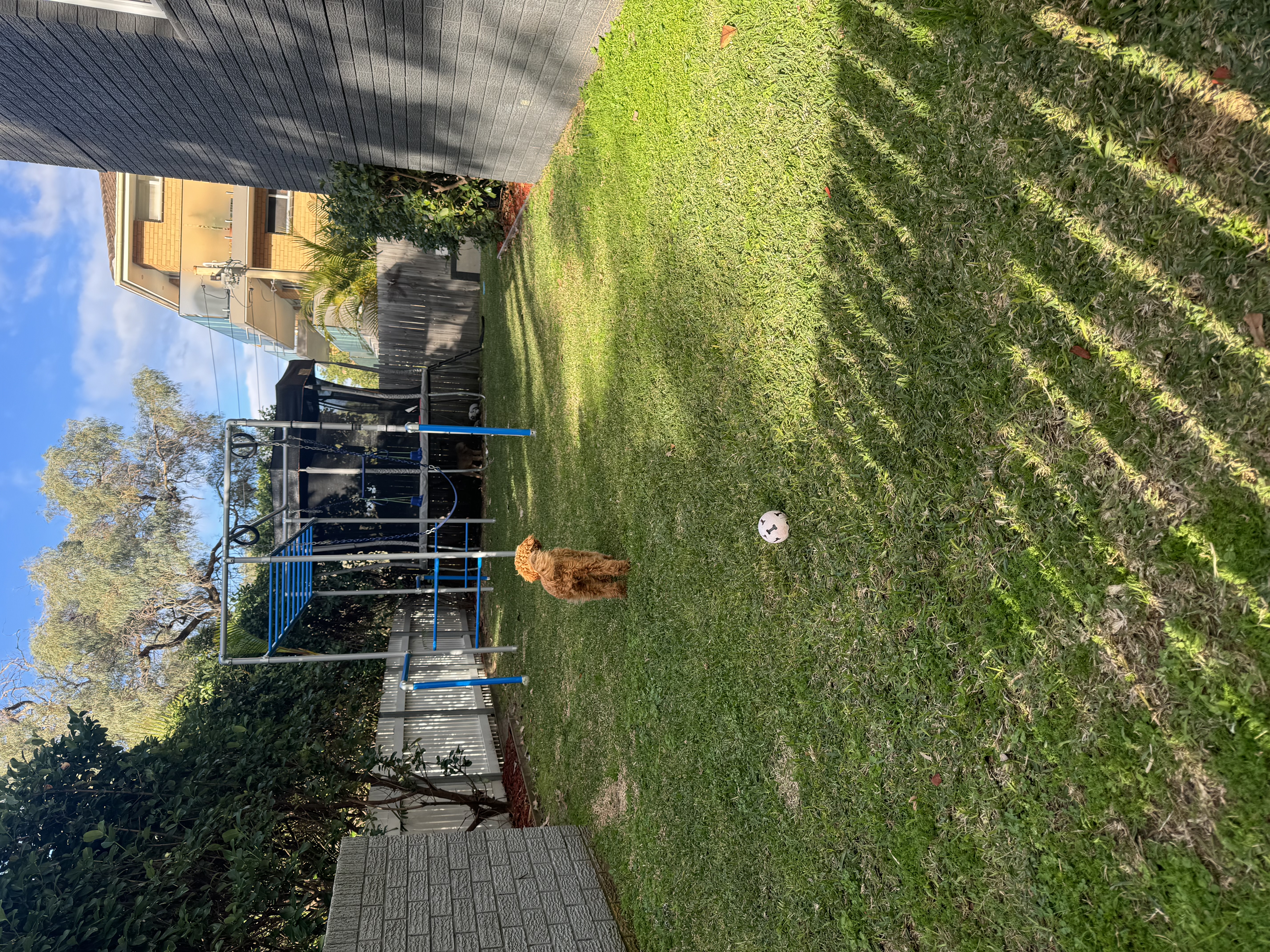 image-32