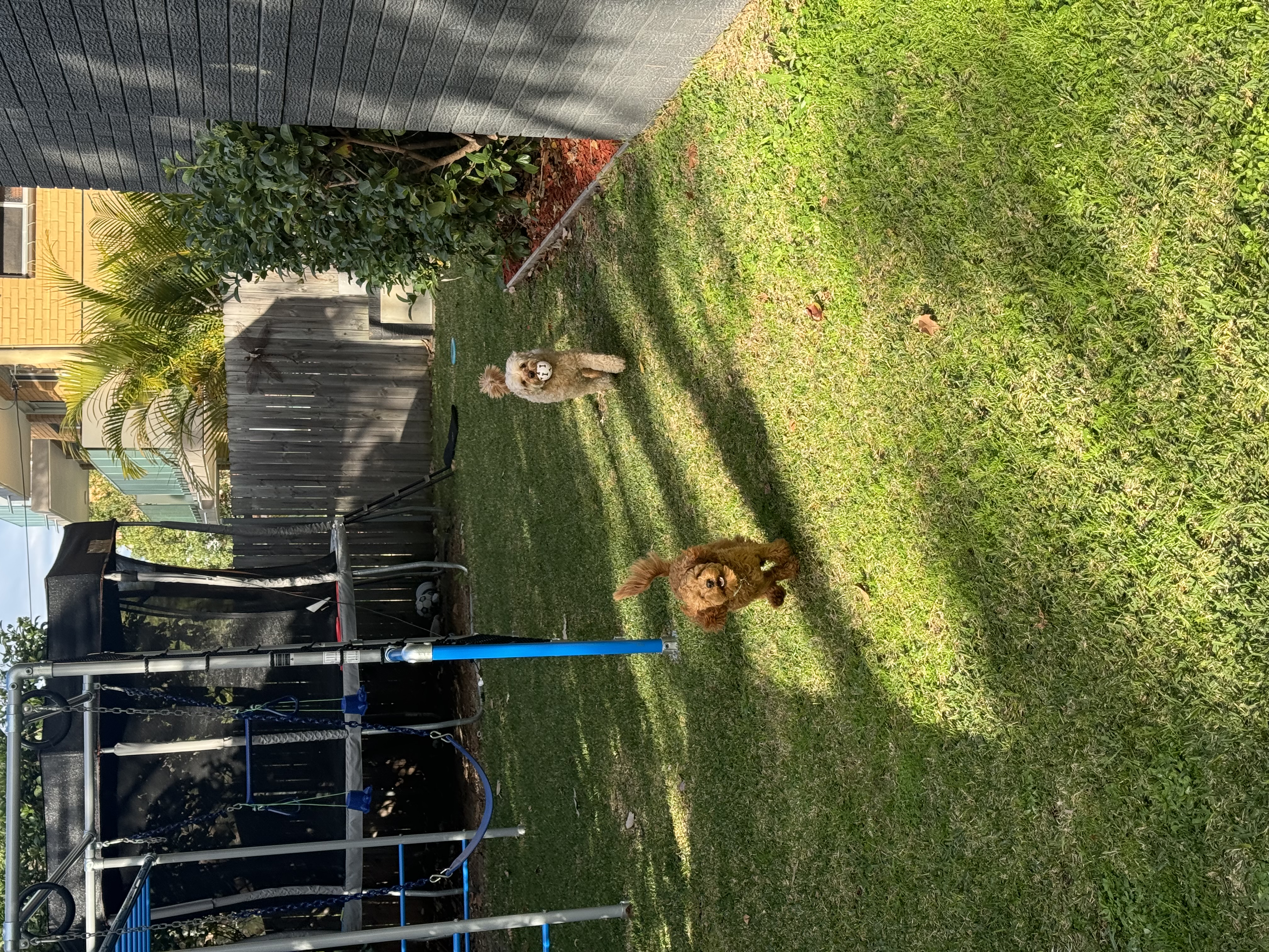 image-33