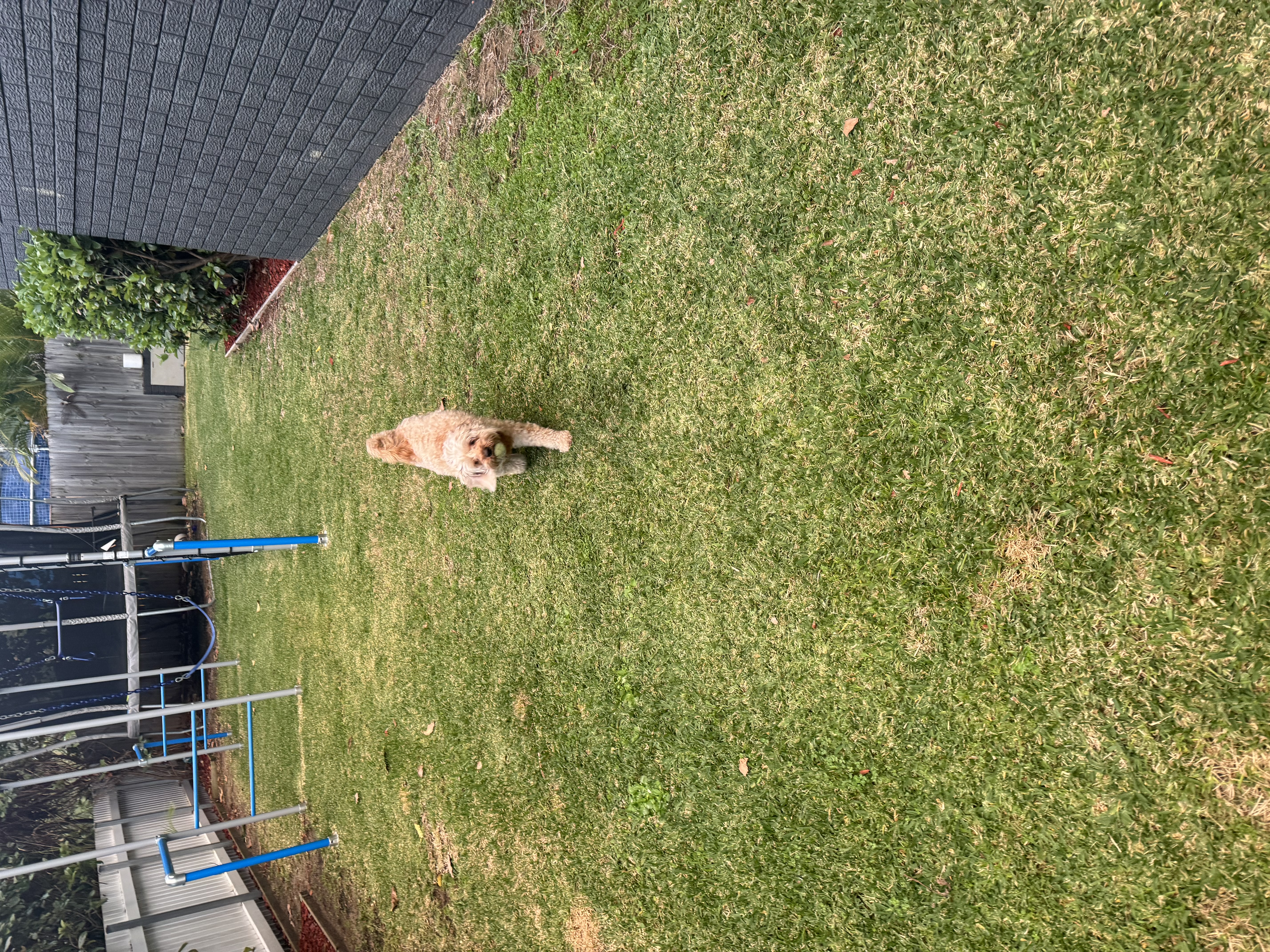 image-34