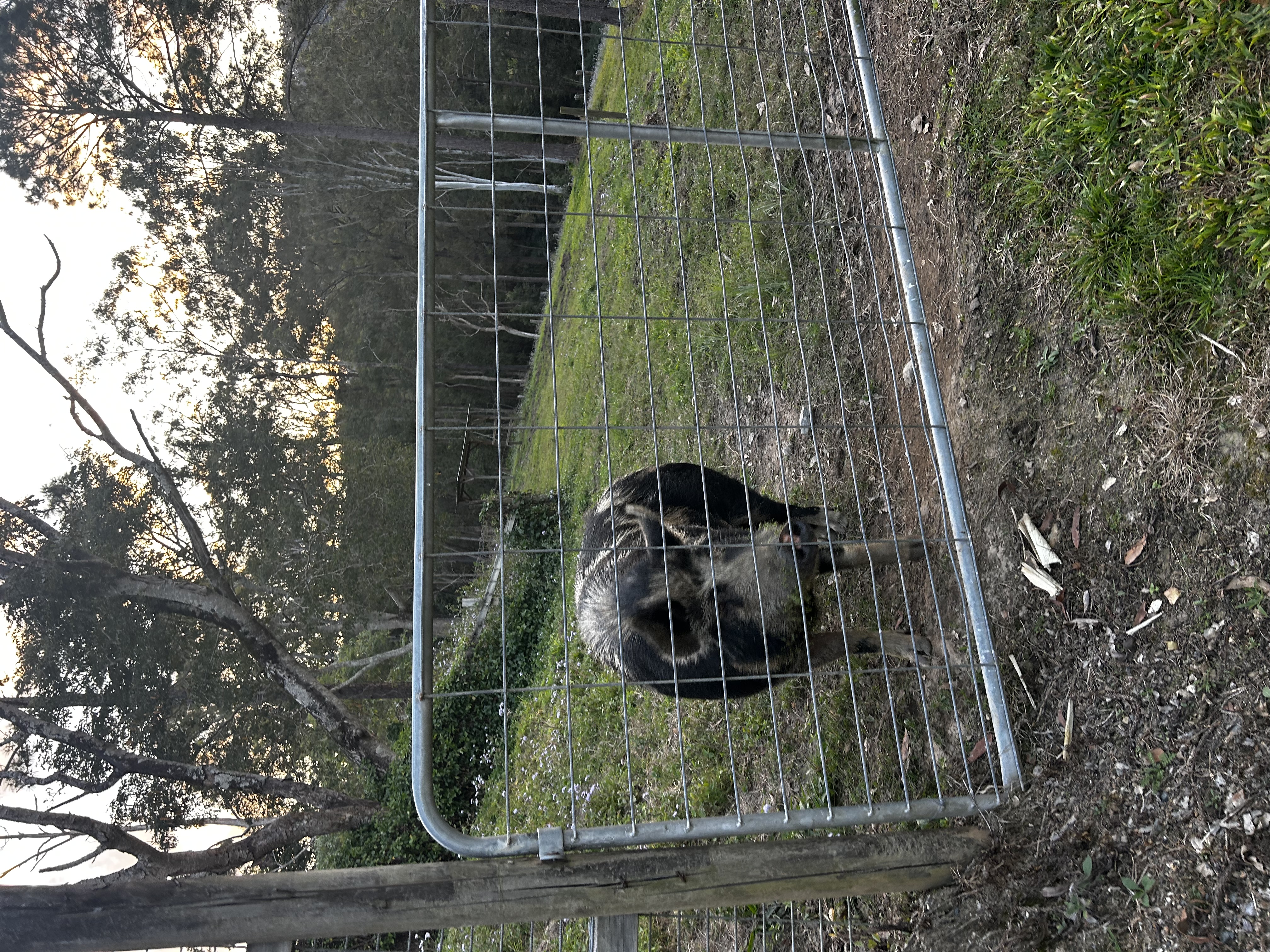 image-11