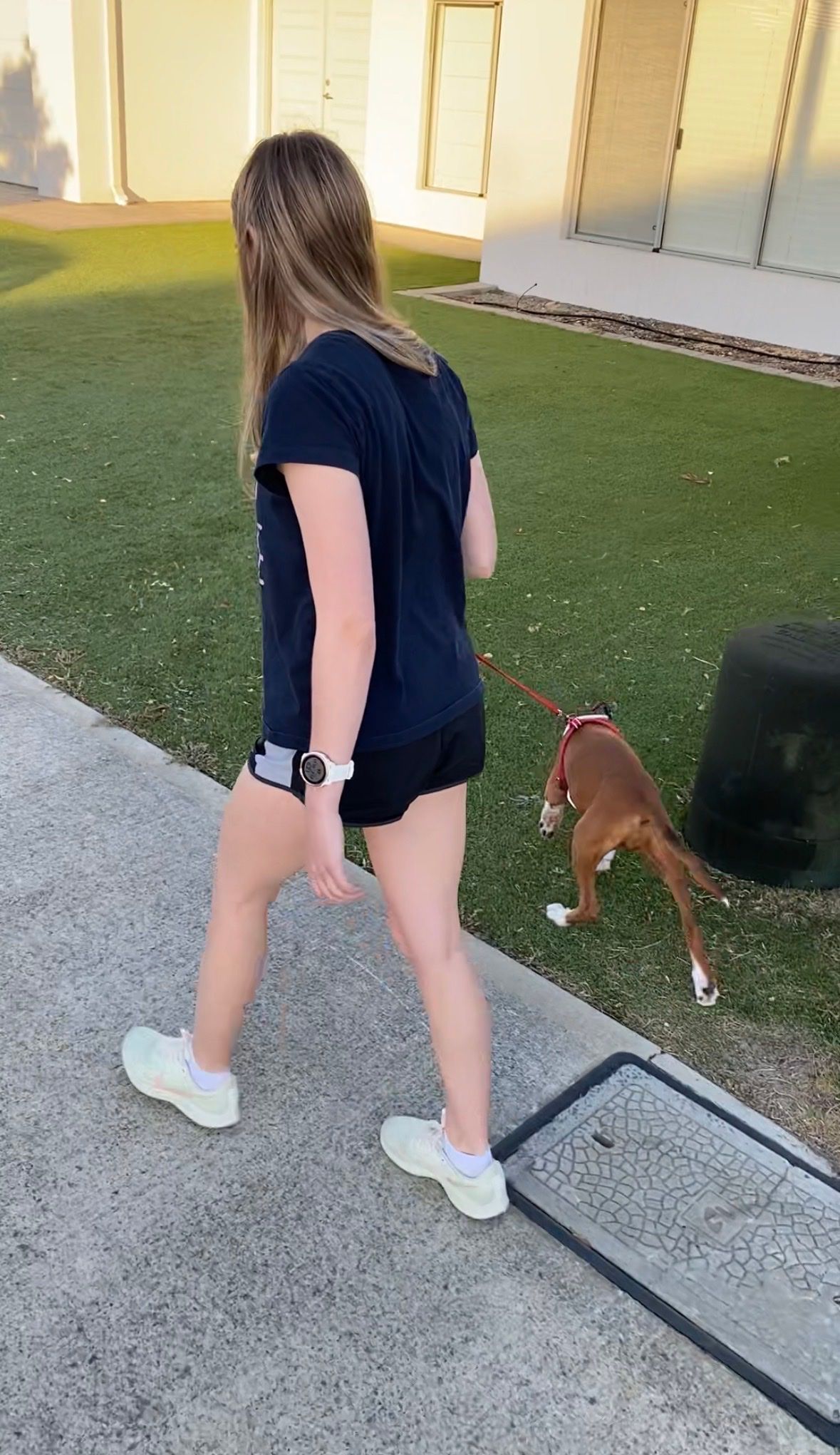 image-0