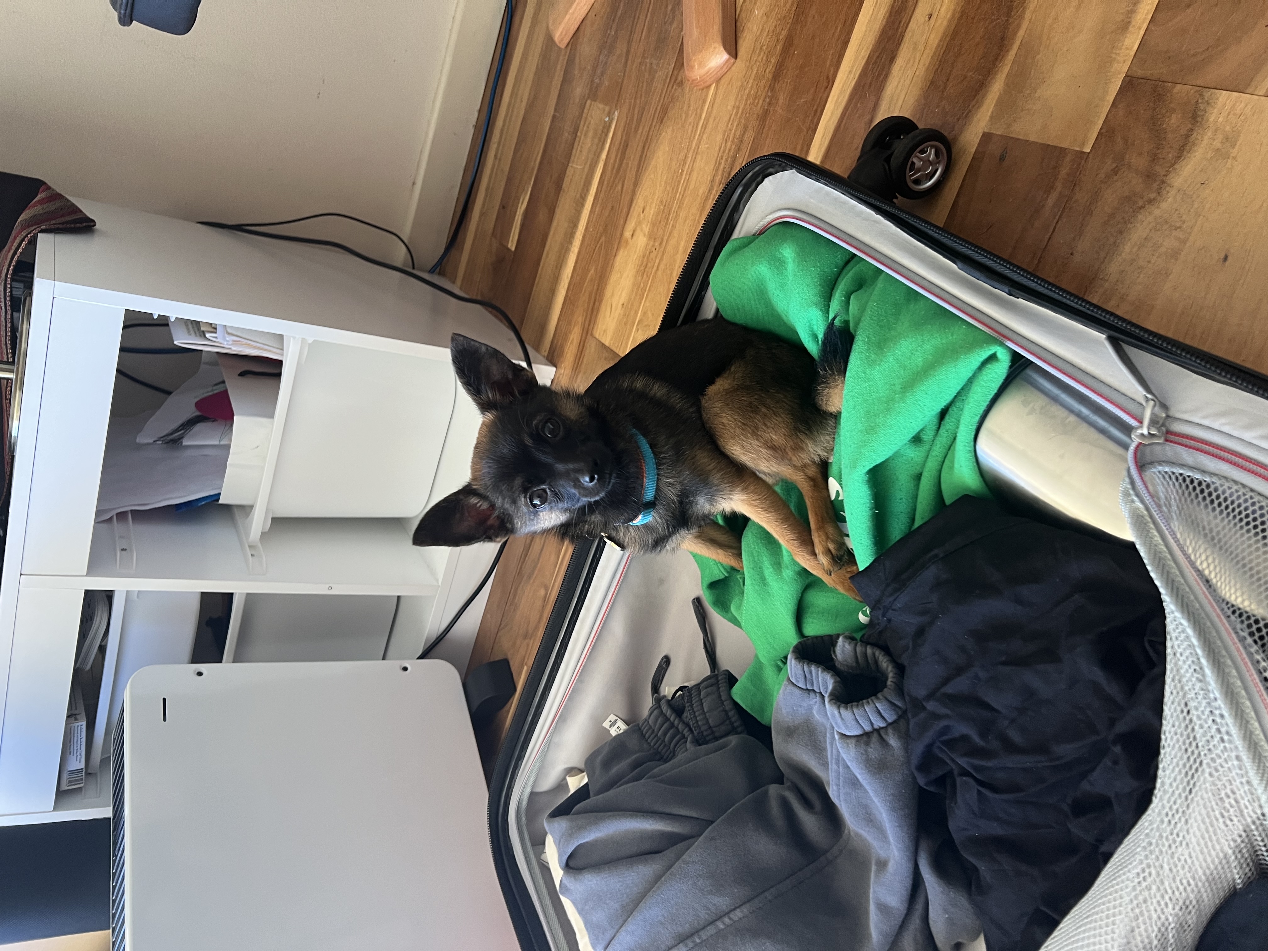 image-12