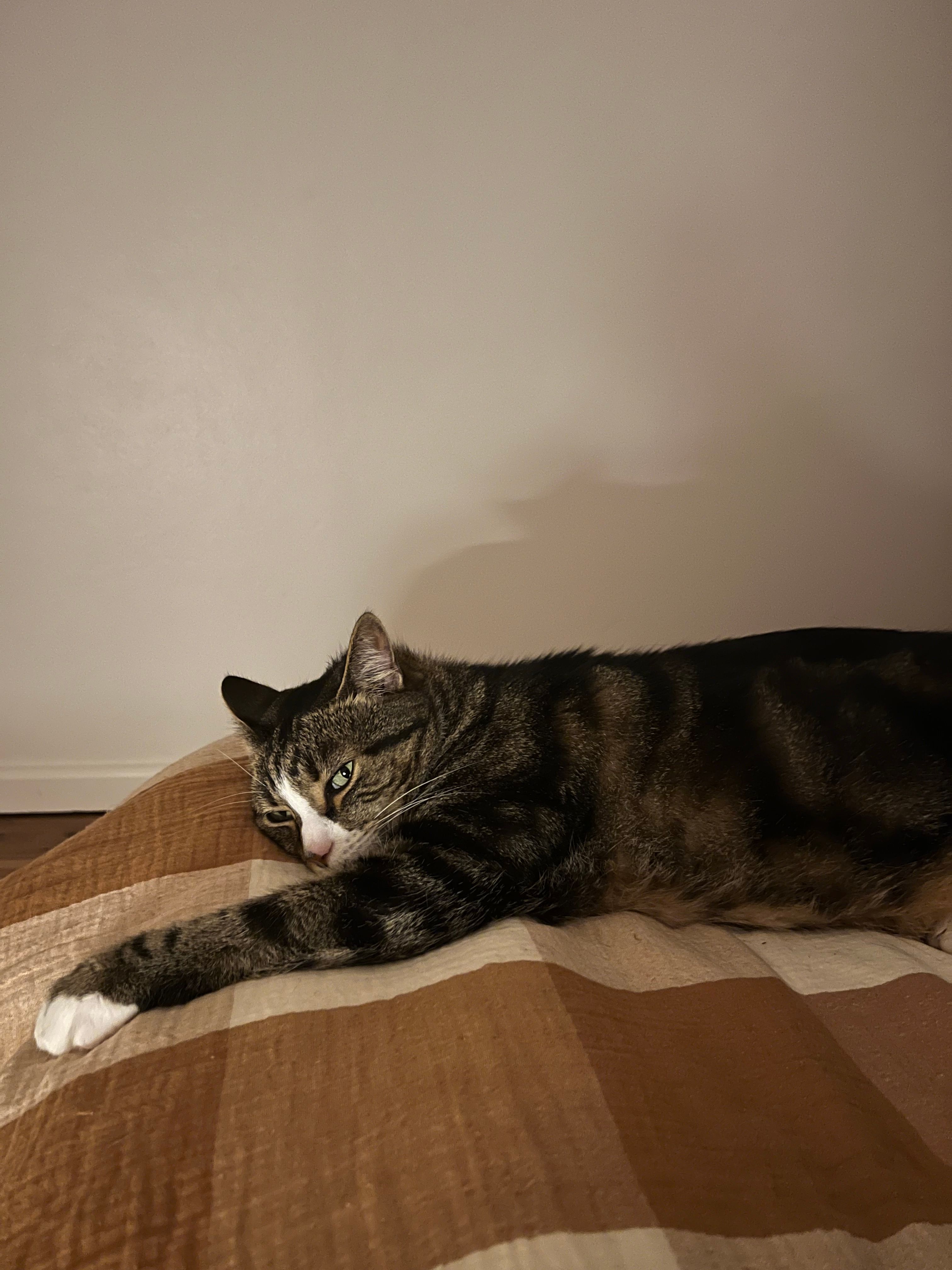 image-14