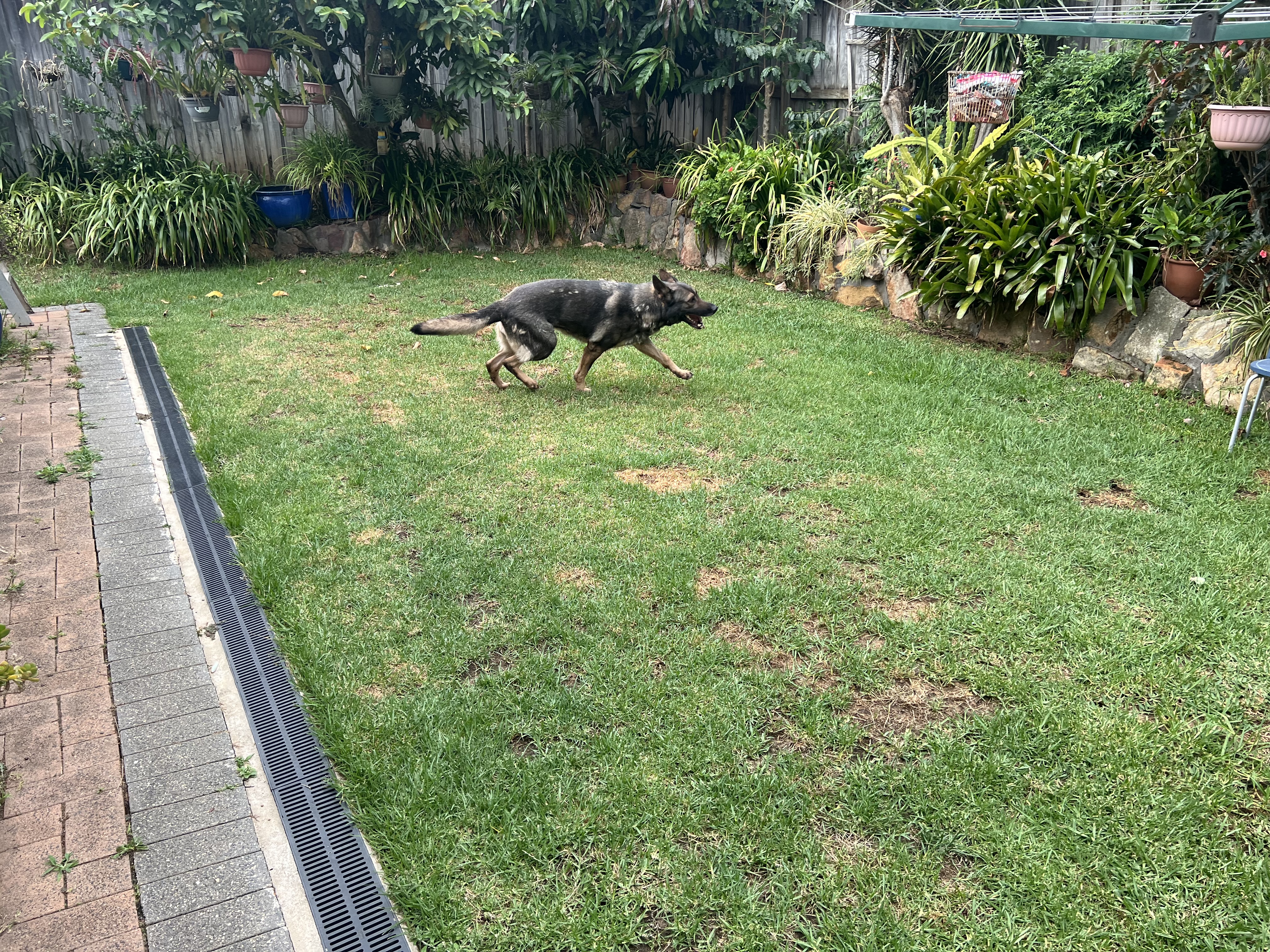 image-14