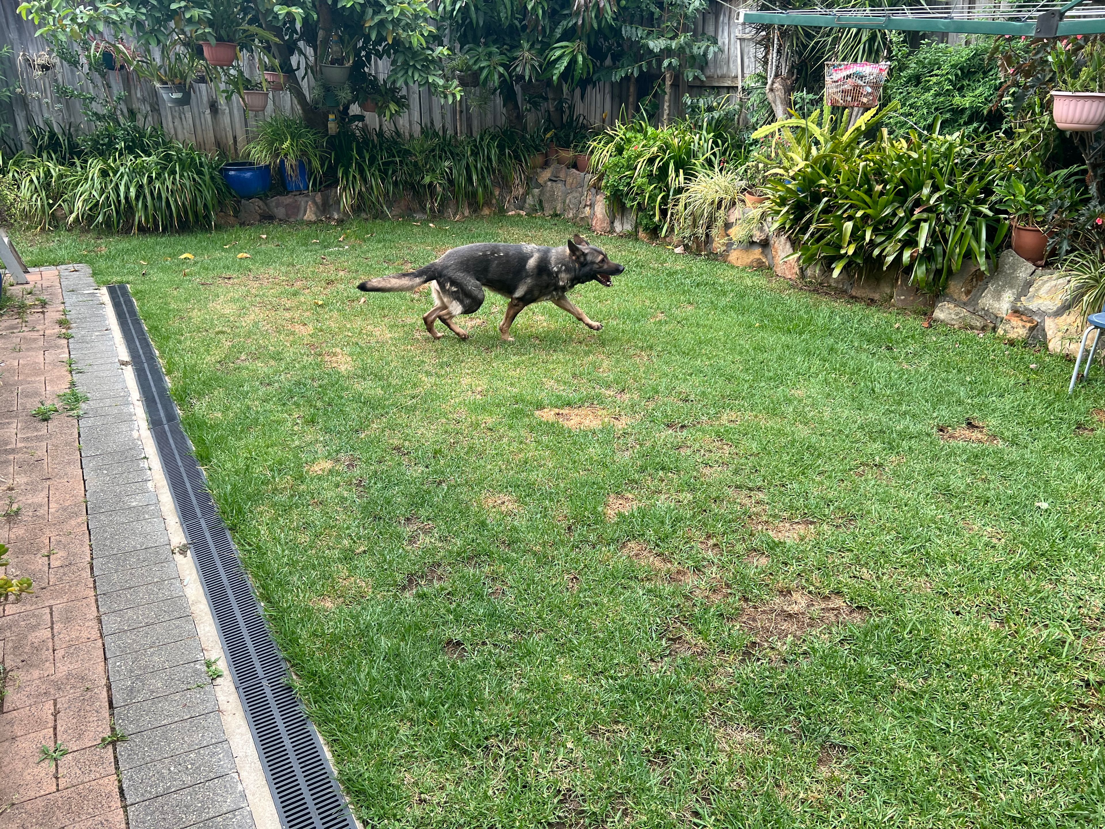 image-14