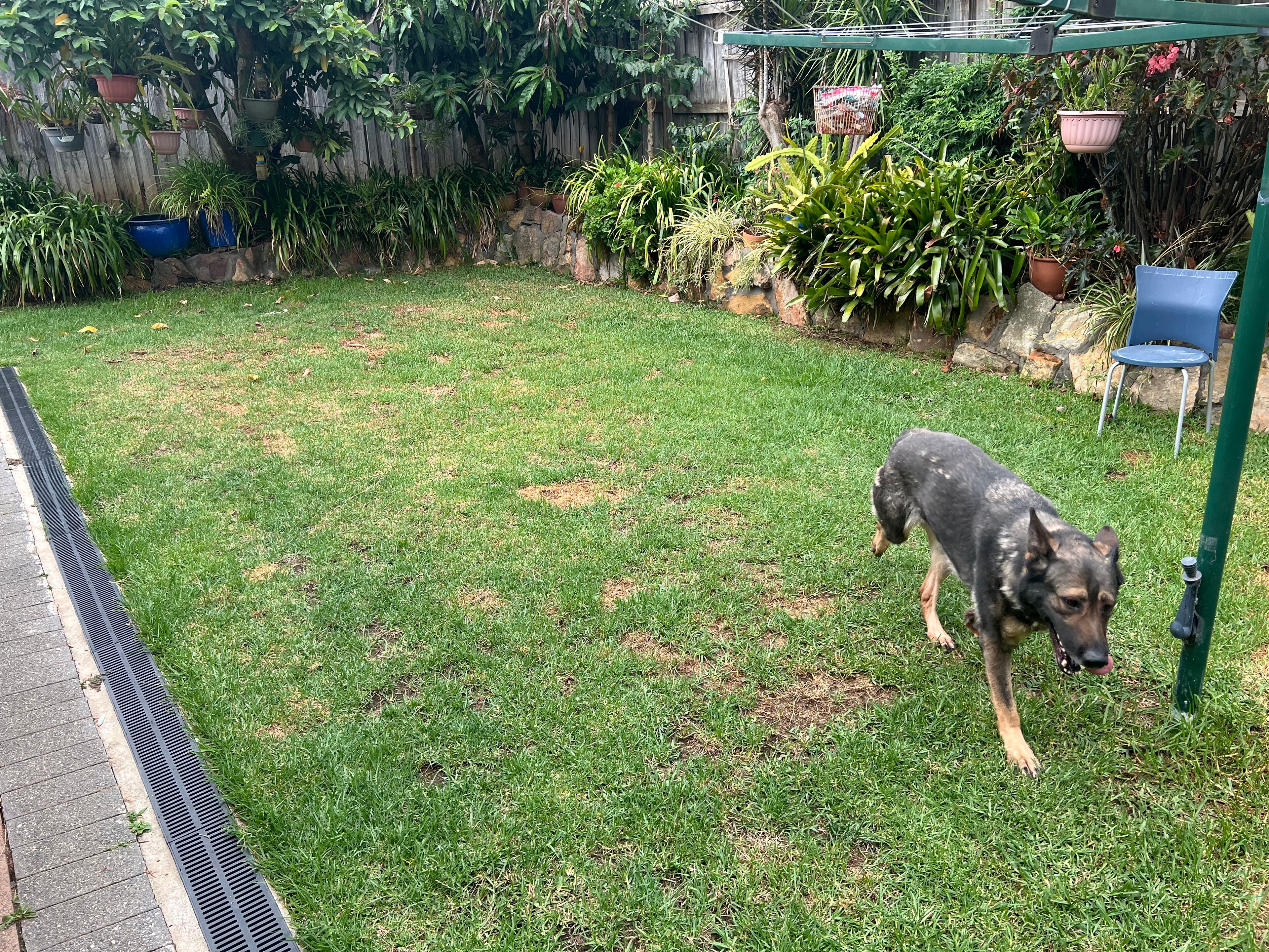 image-15